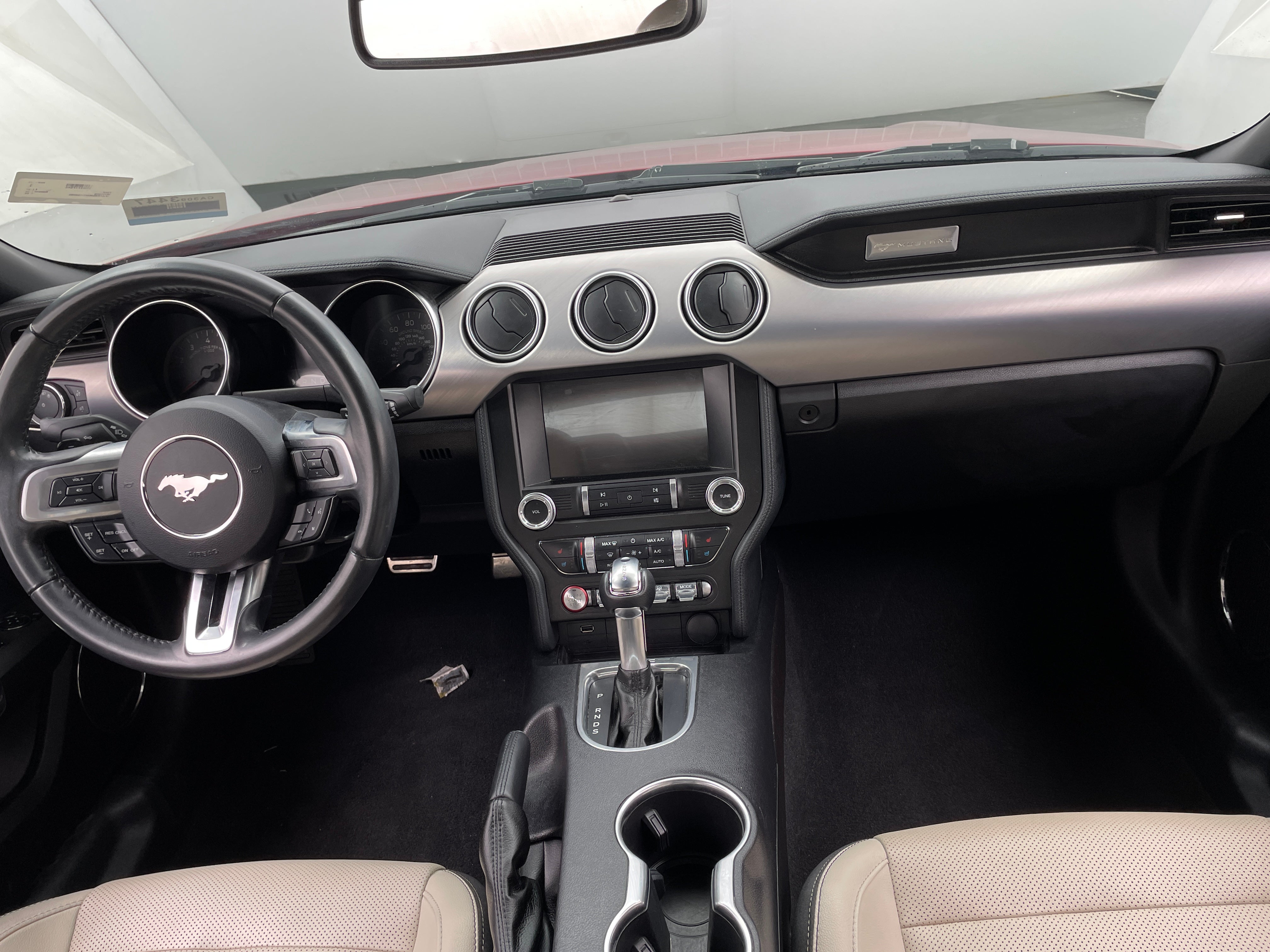 2019 Ford Mustang  3