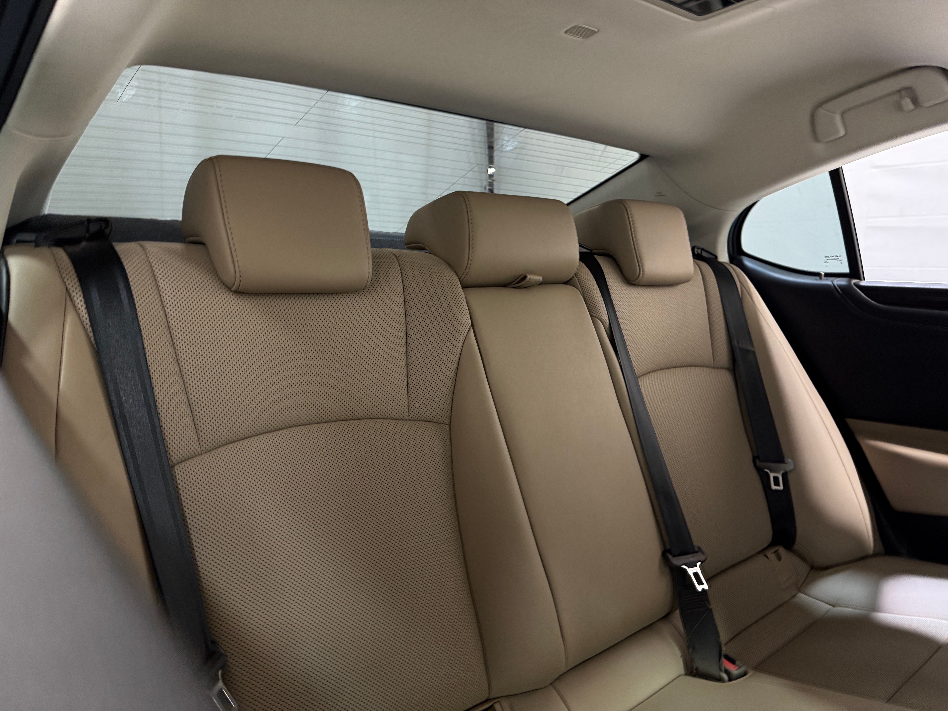 2019 Lexus ES 350 6