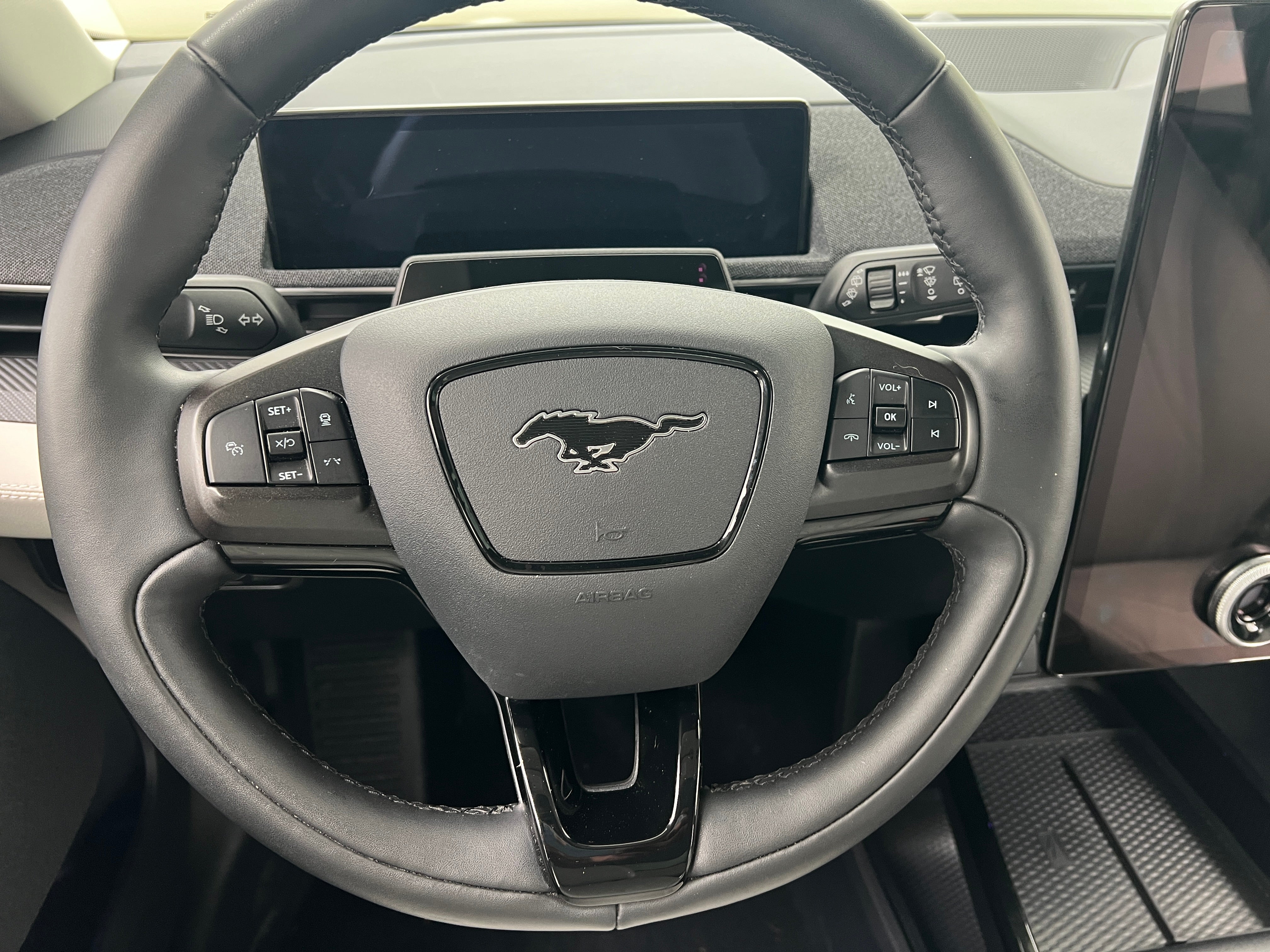 2021 Ford Mustang Mach-E Premium 4