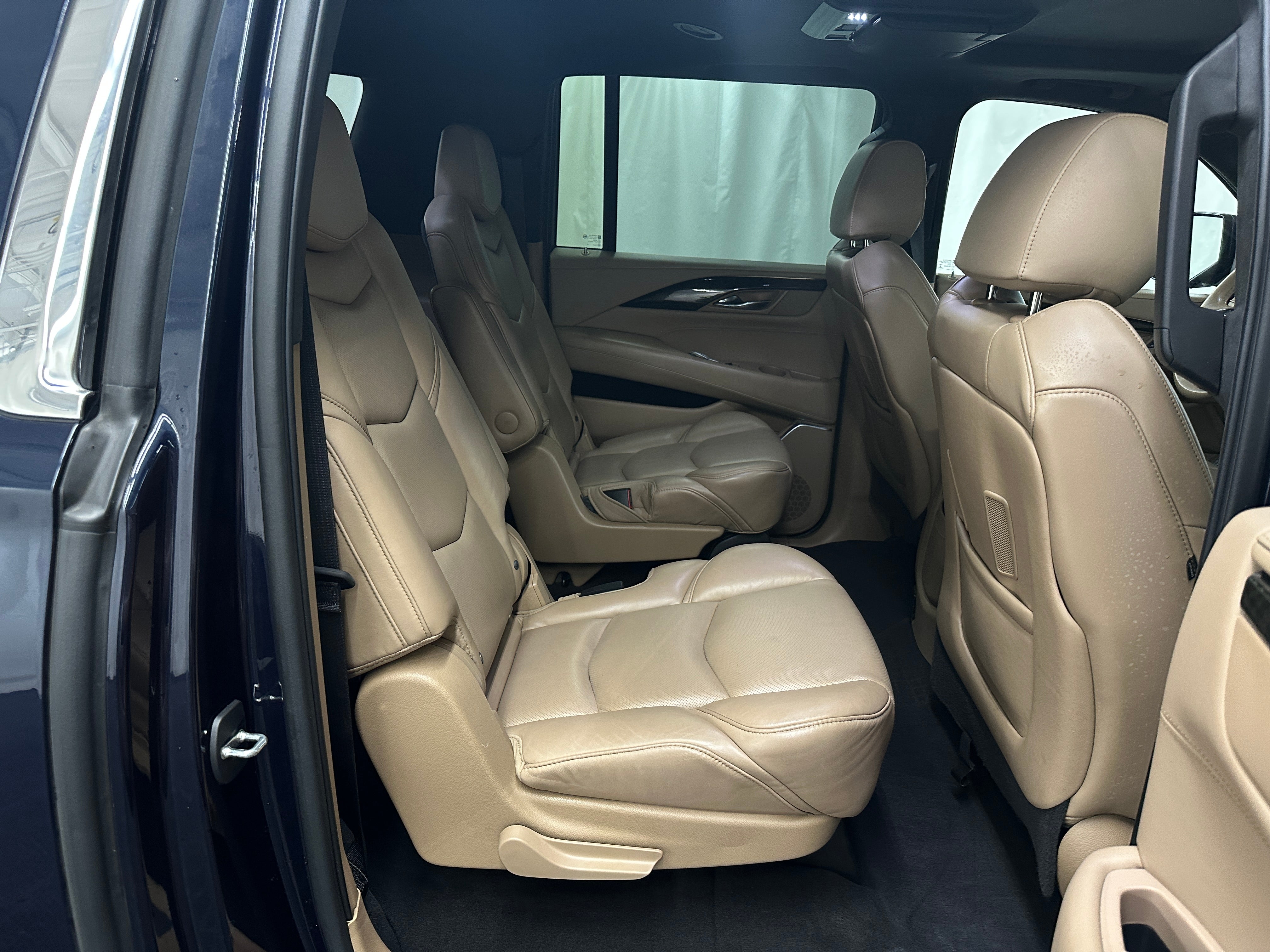 2020 Cadillac Escalade ESV Platinum 5