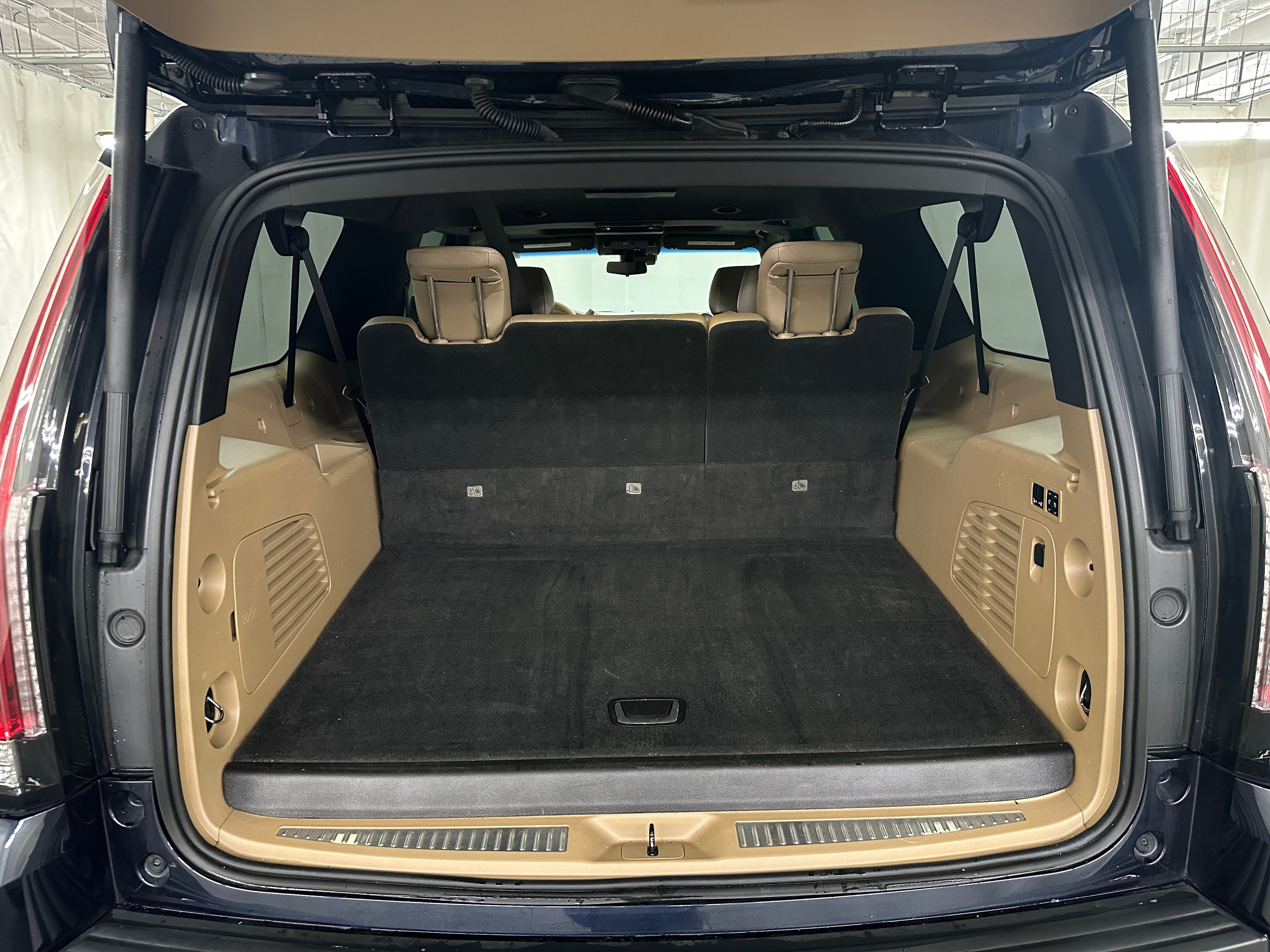 2020 Cadillac Escalade ESV Platinum 6