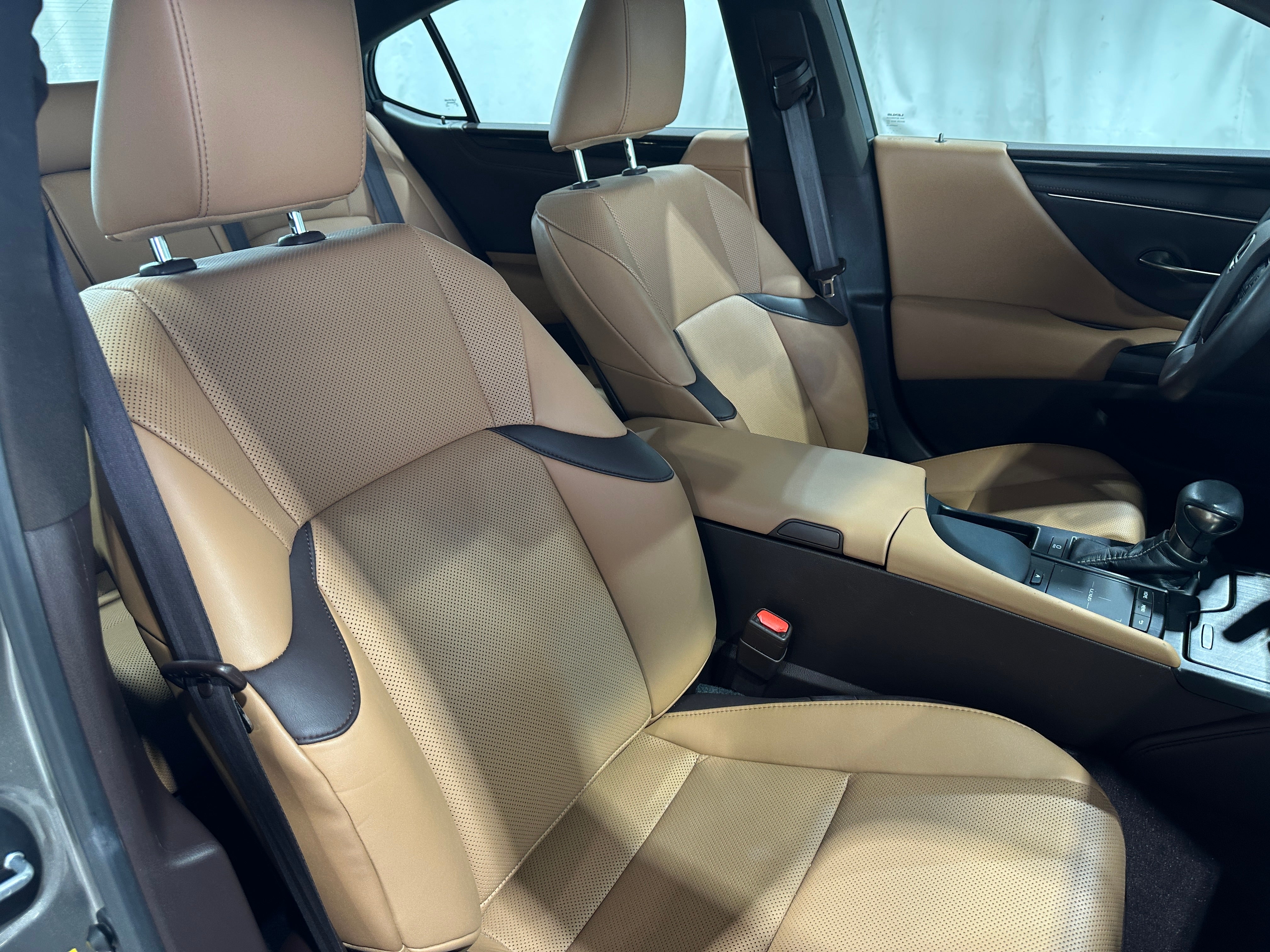 2019 Lexus ES 350 2