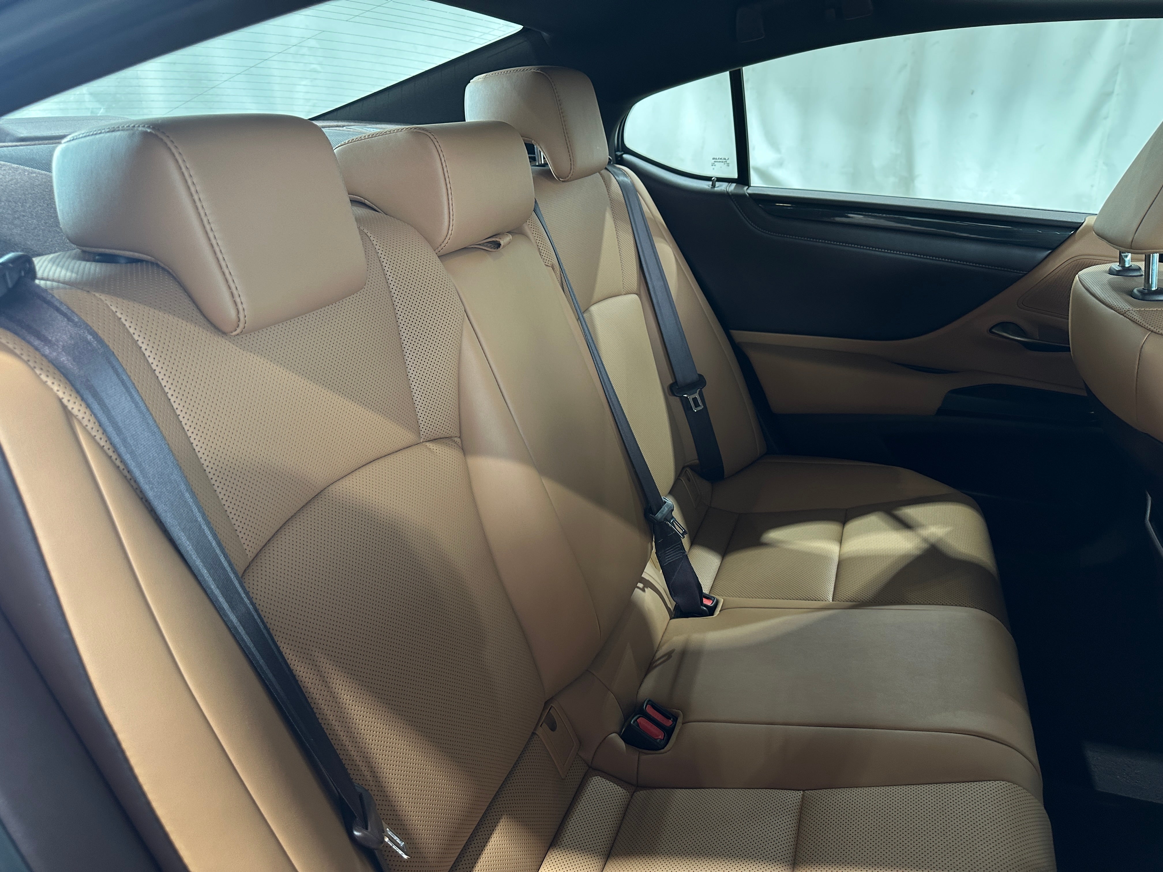2019 Lexus ES 350 6