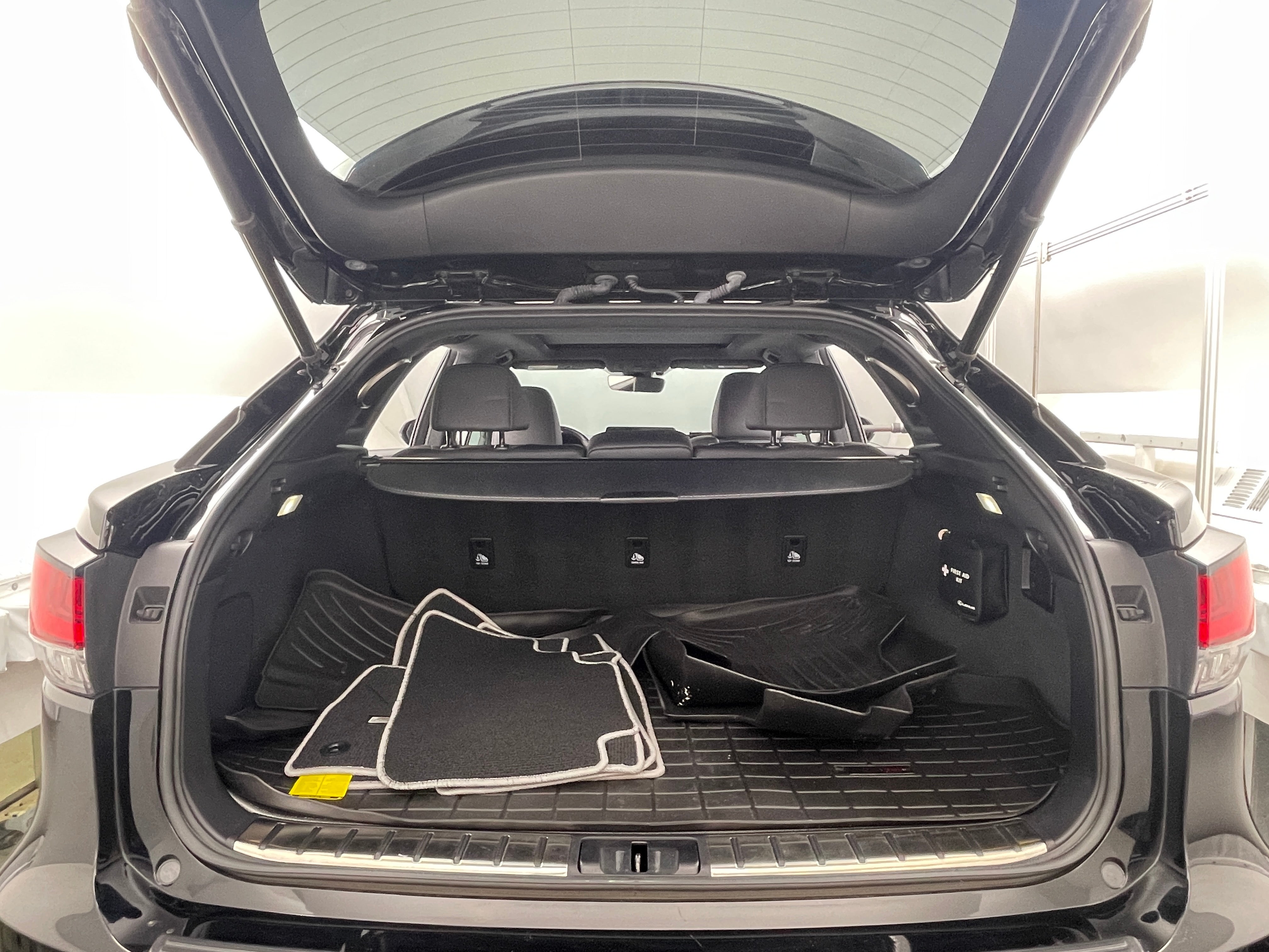 2020 Lexus RX 350 Sport Handling 6