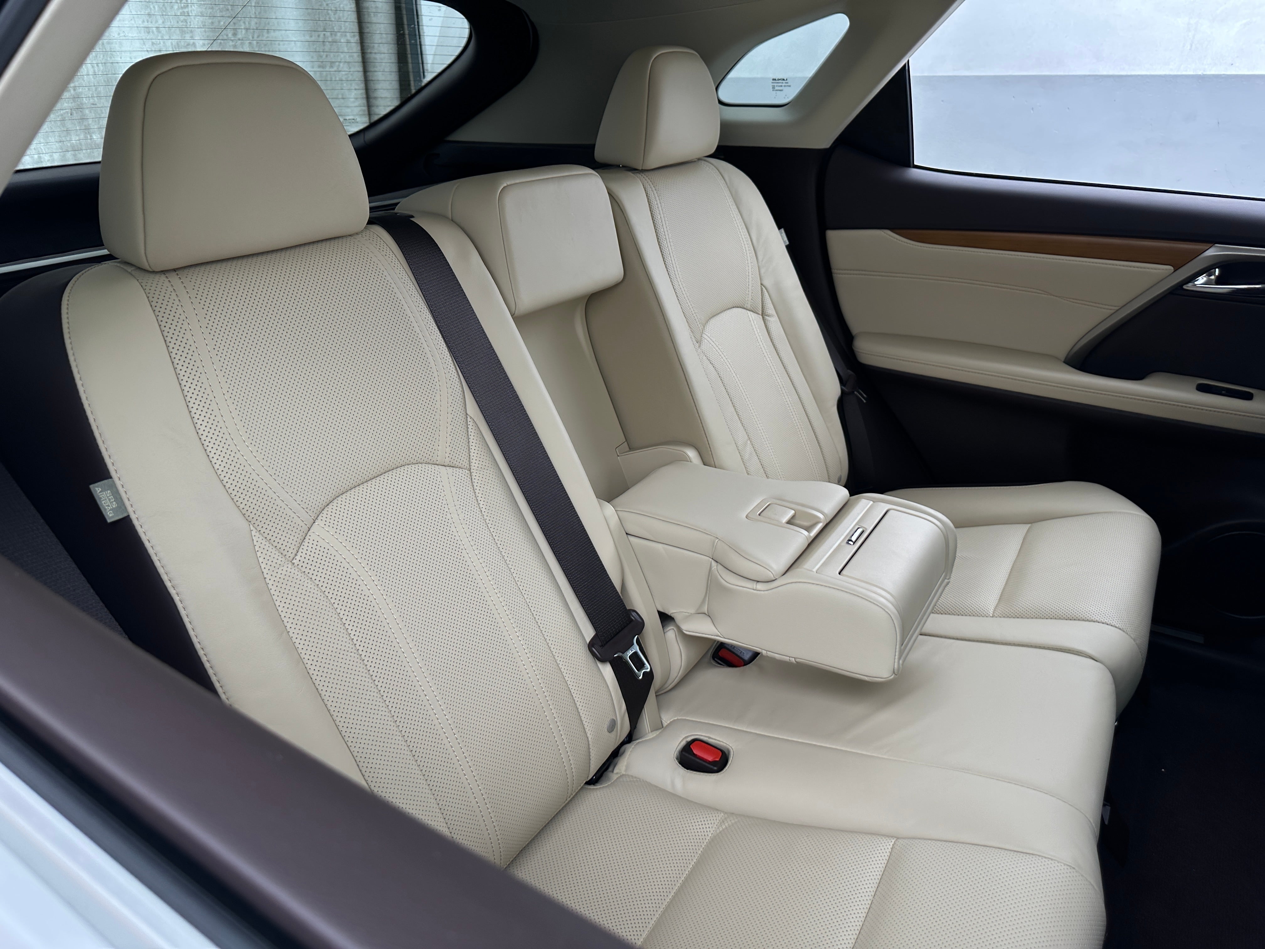 2019 Lexus RX 350 Sport Handling 6