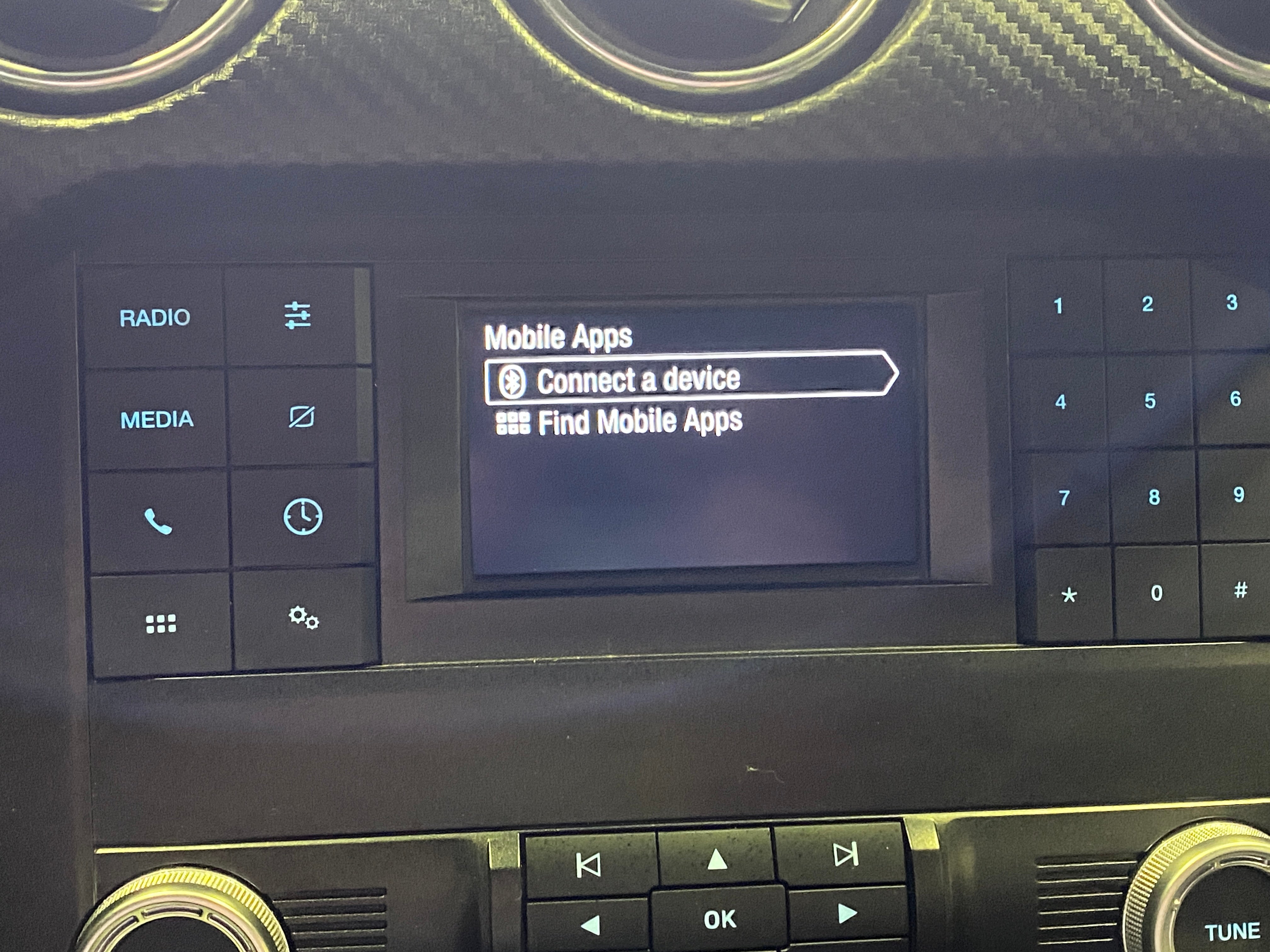 2021 Ford Mustang  4