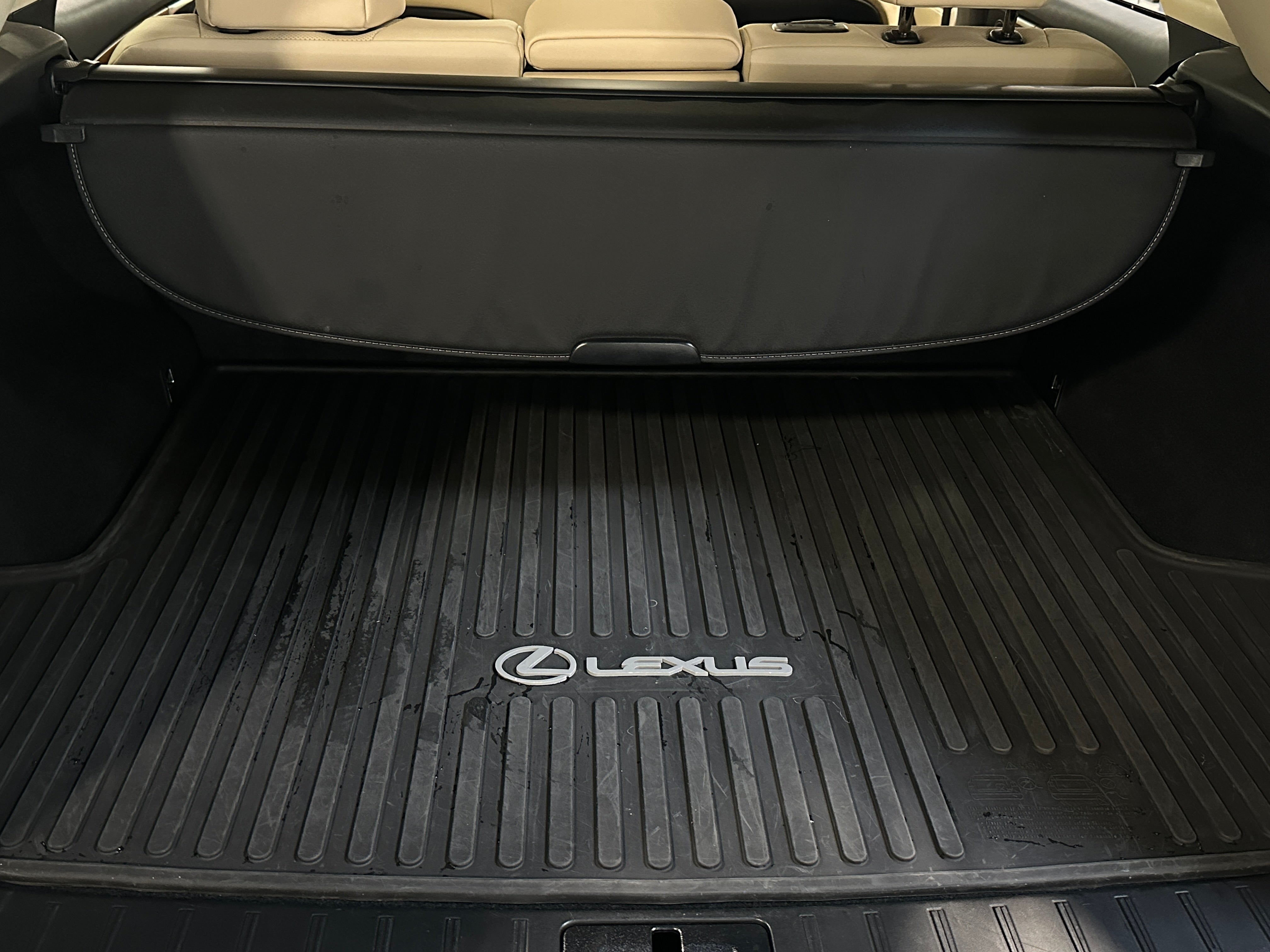 2022 Lexus RX 350 6