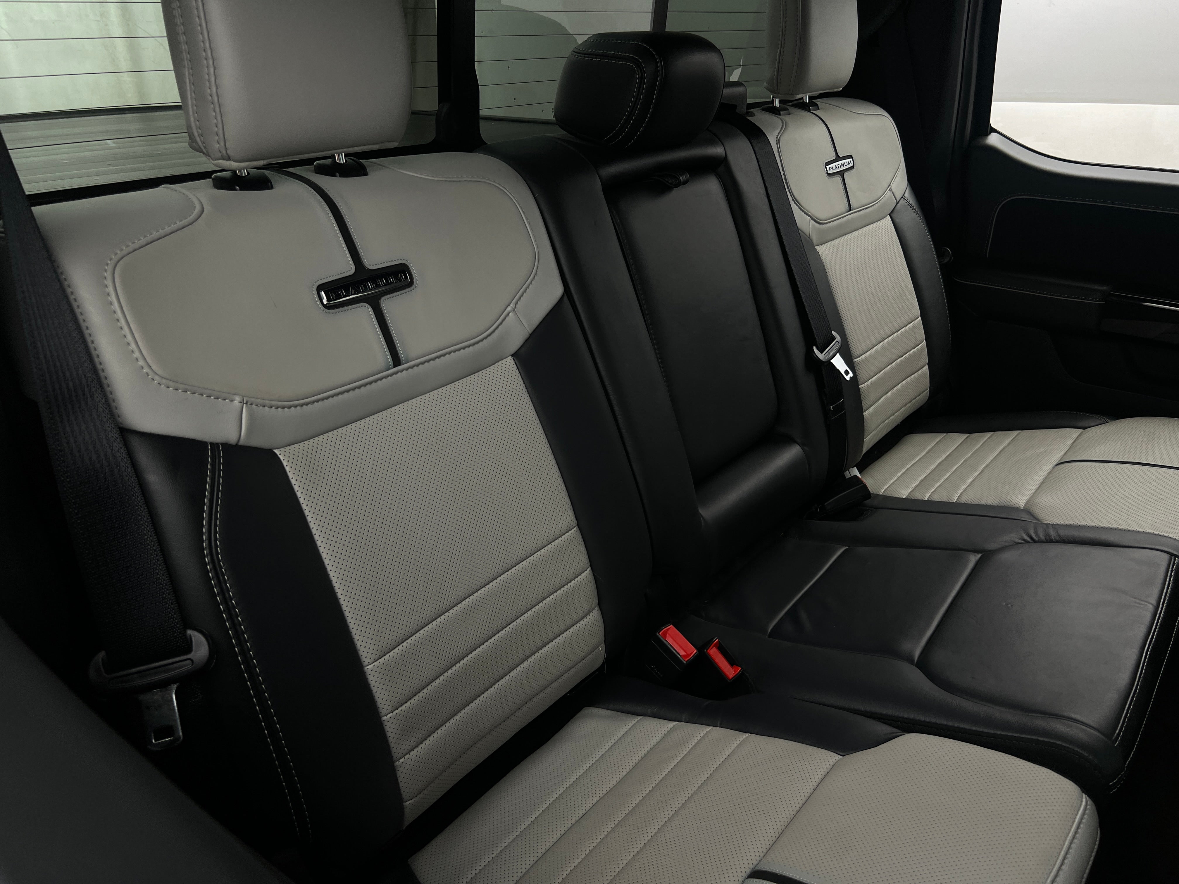 2022 Ford F-150 Lightning Platinum 6