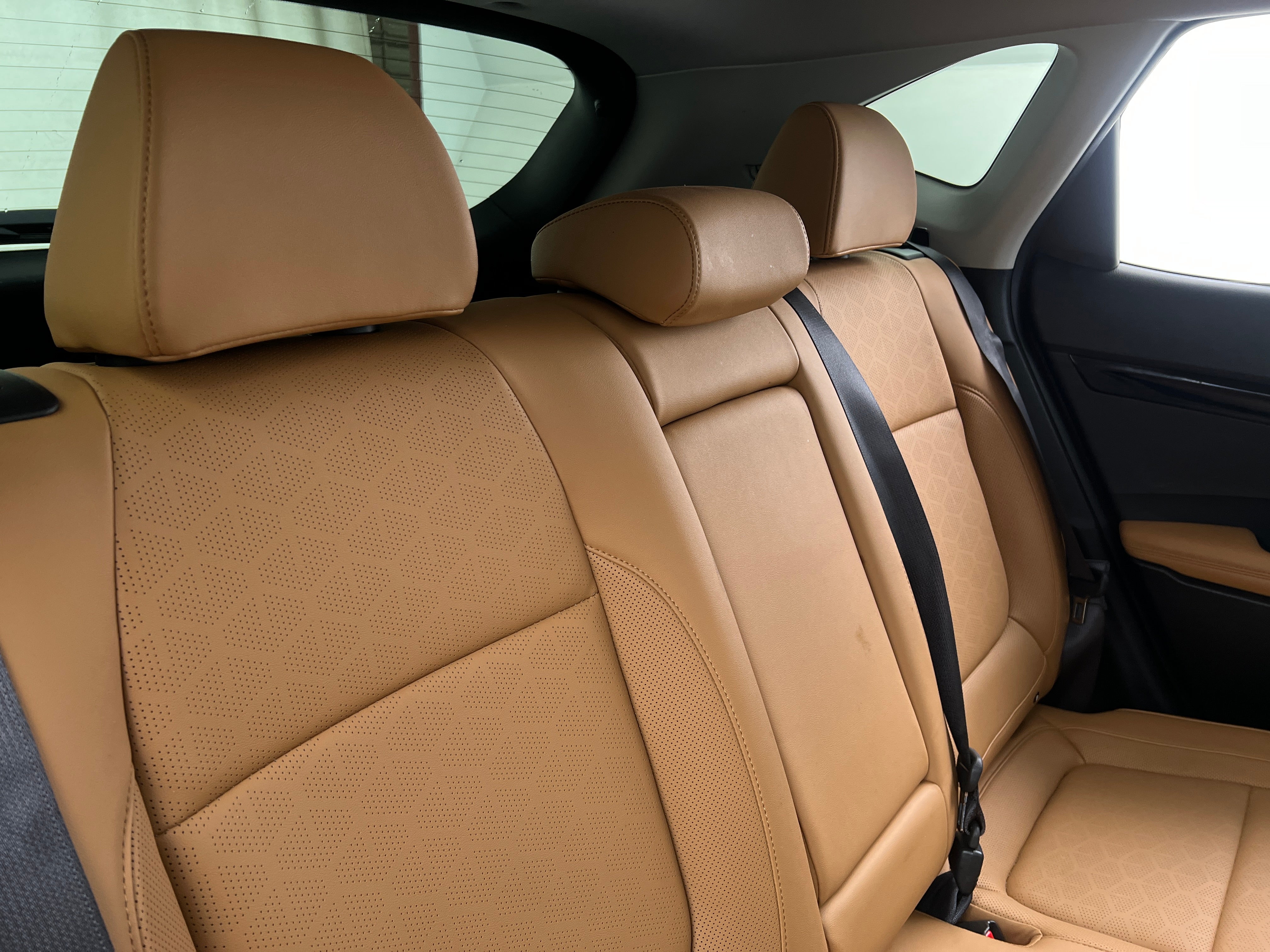 2024 Kia Seltos EX 5
