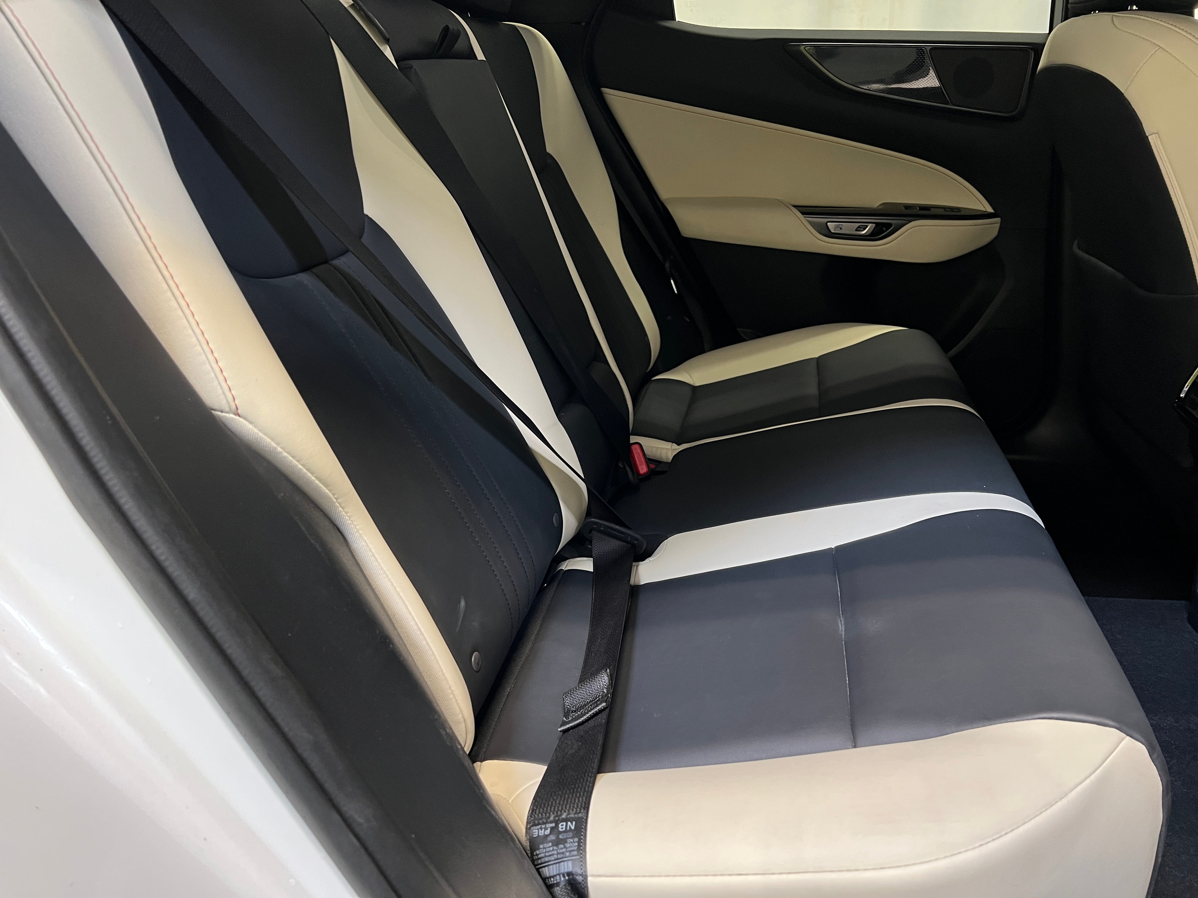 2024 Lexus NX 250 5