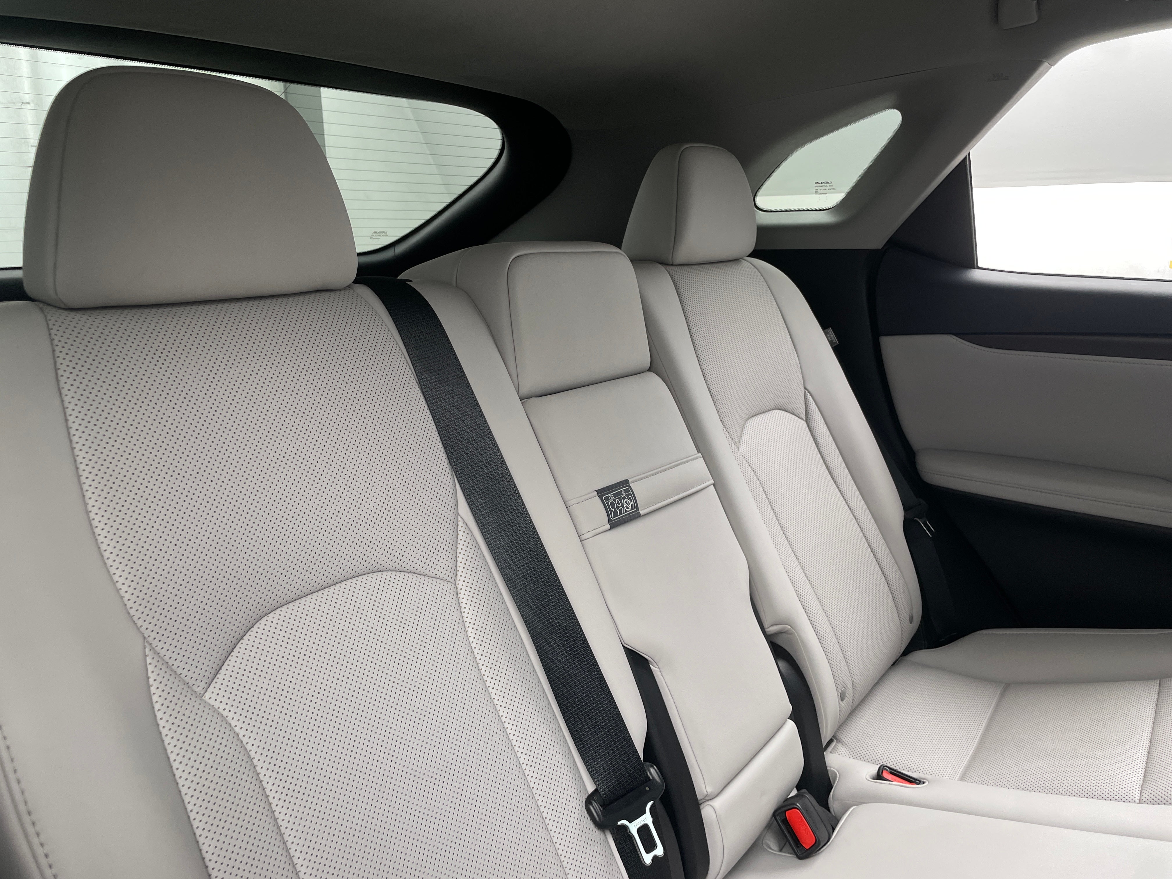 2021 Lexus RX 350 6