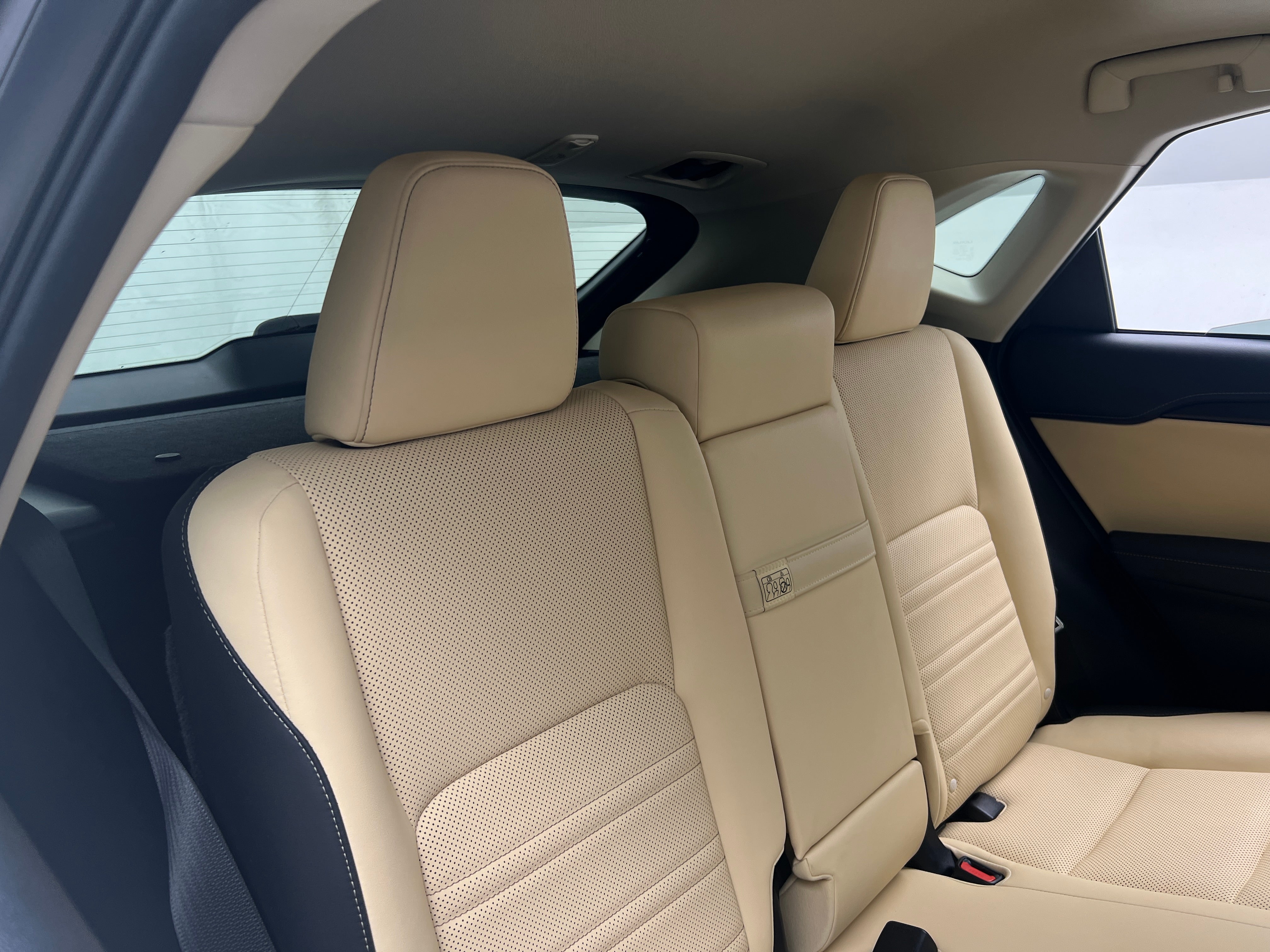 2018 Lexus NX Hybrid 300h 5