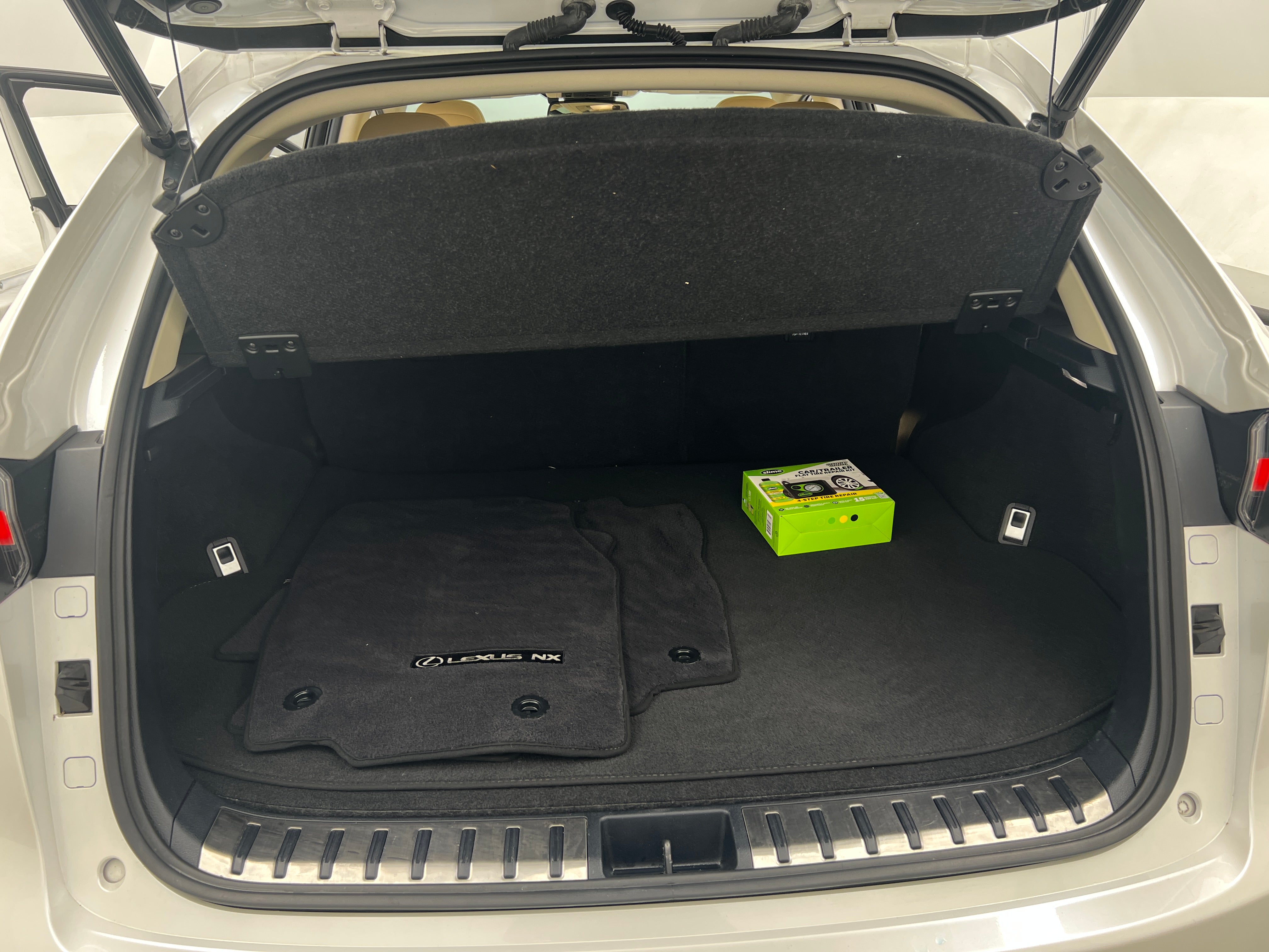 2018 Lexus NX Hybrid 300h 6