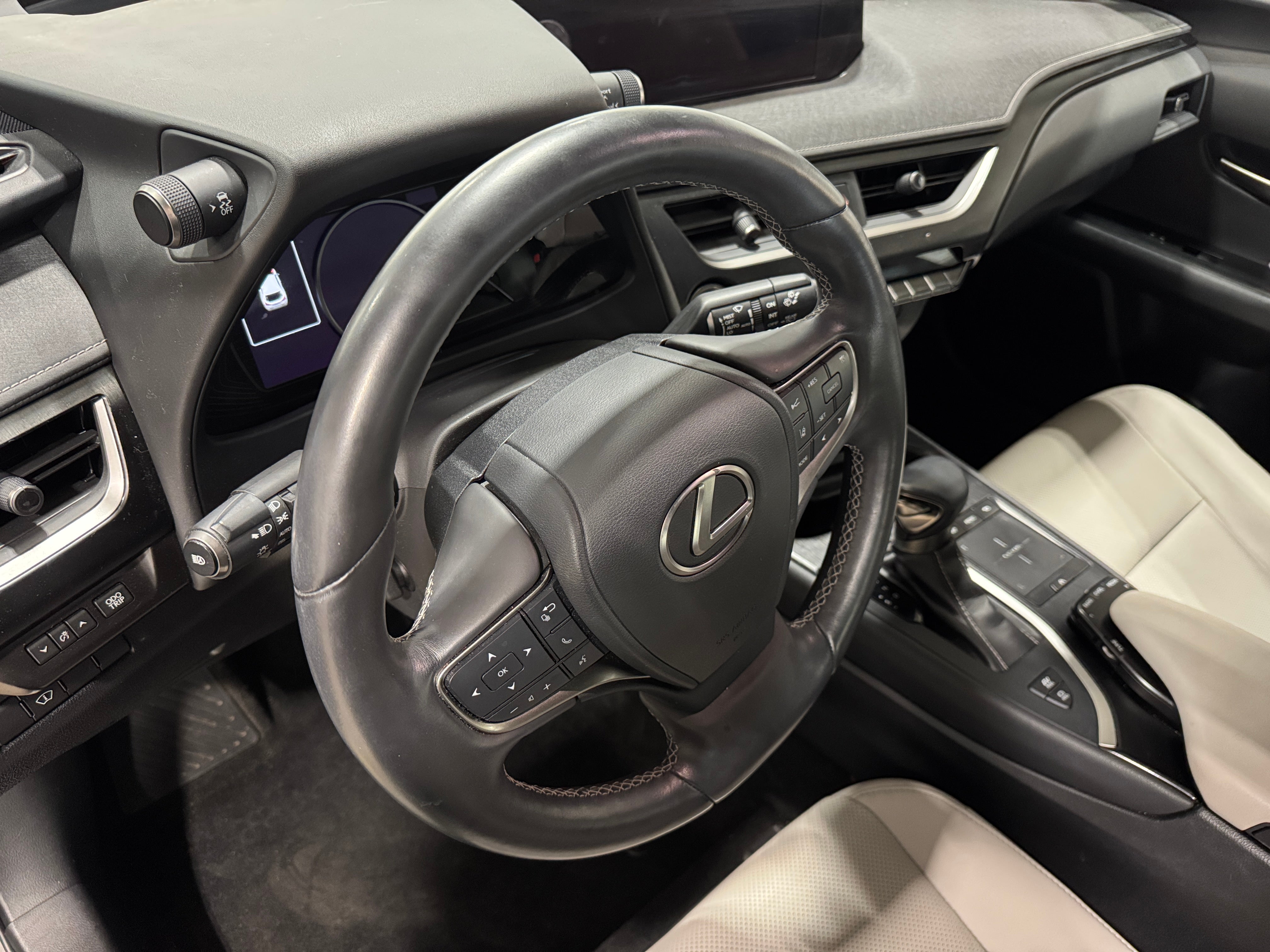 2019 Lexus UX 250h 2