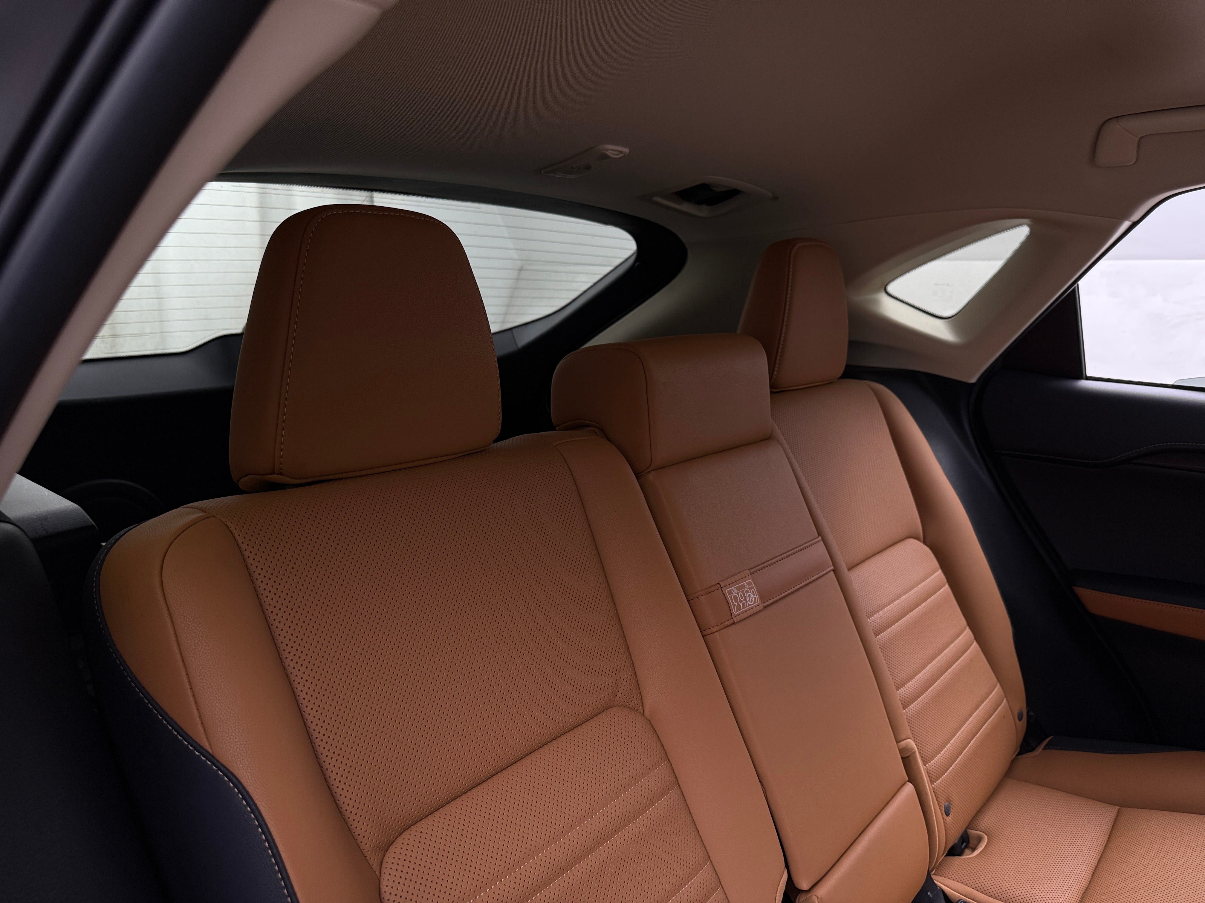 2021 Lexus NX Hybrid 300h 6