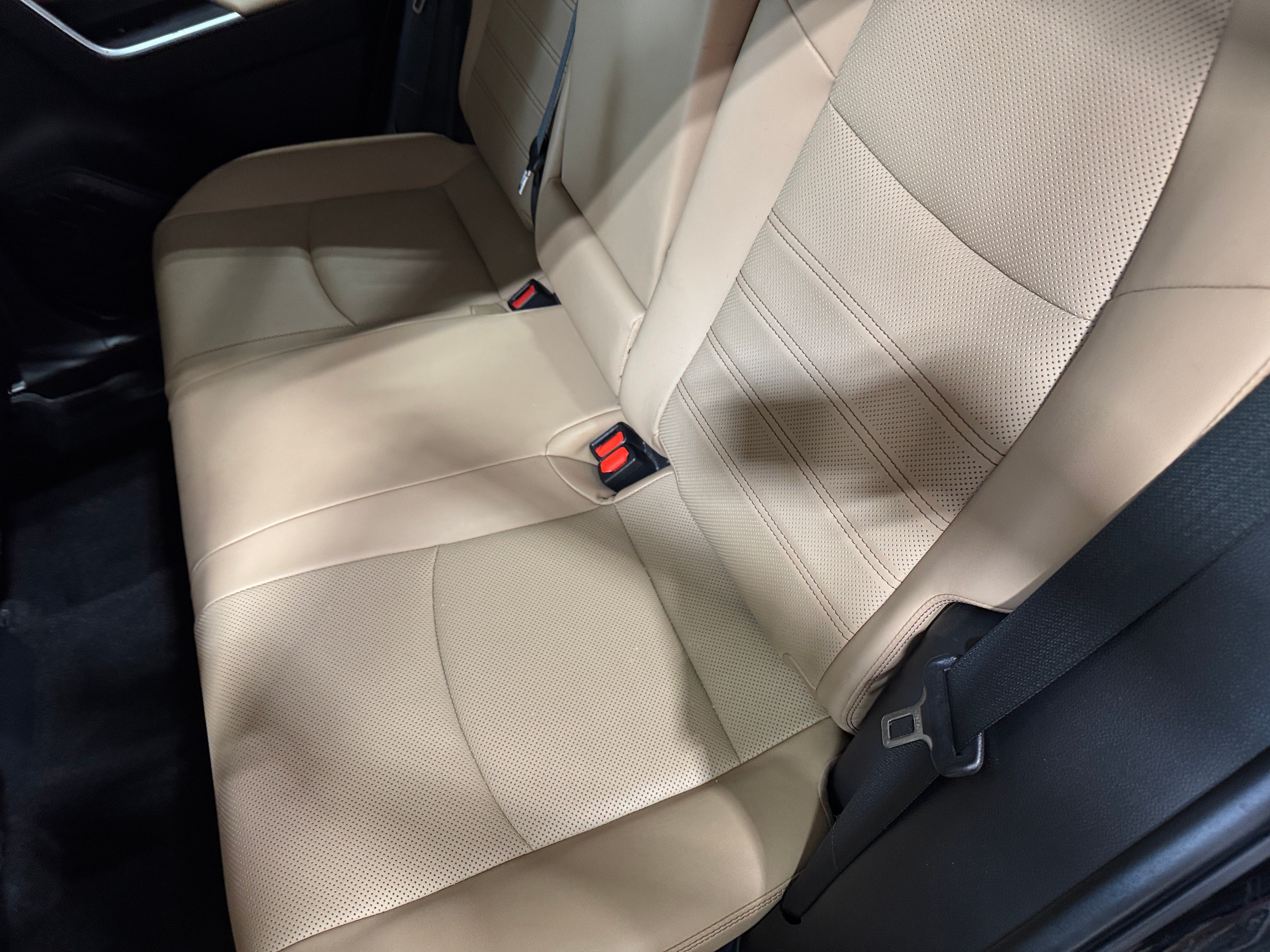 2019 Toyota RAV4 Limited 5