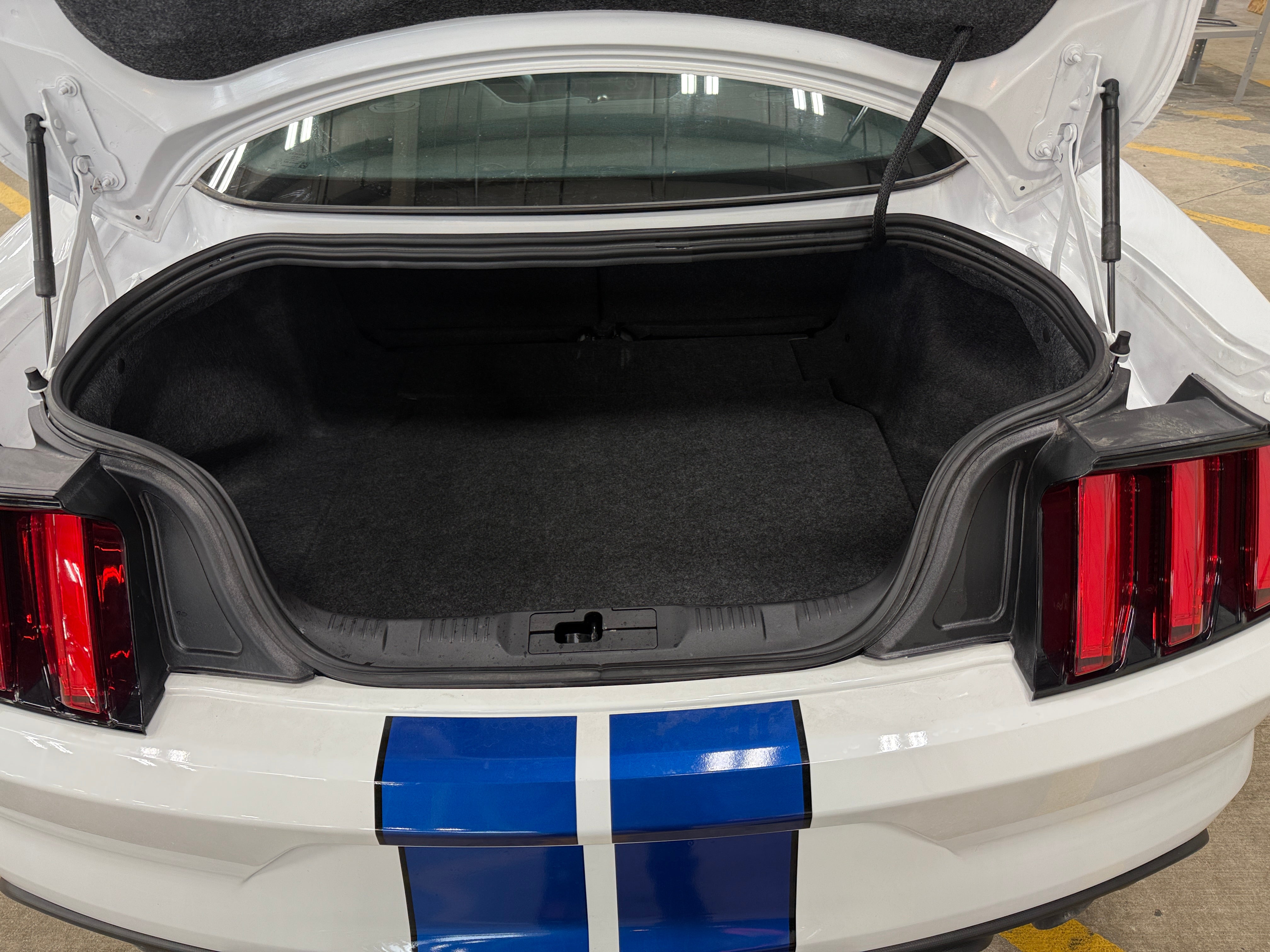 2017 Ford Mustang Shelby GT350 5