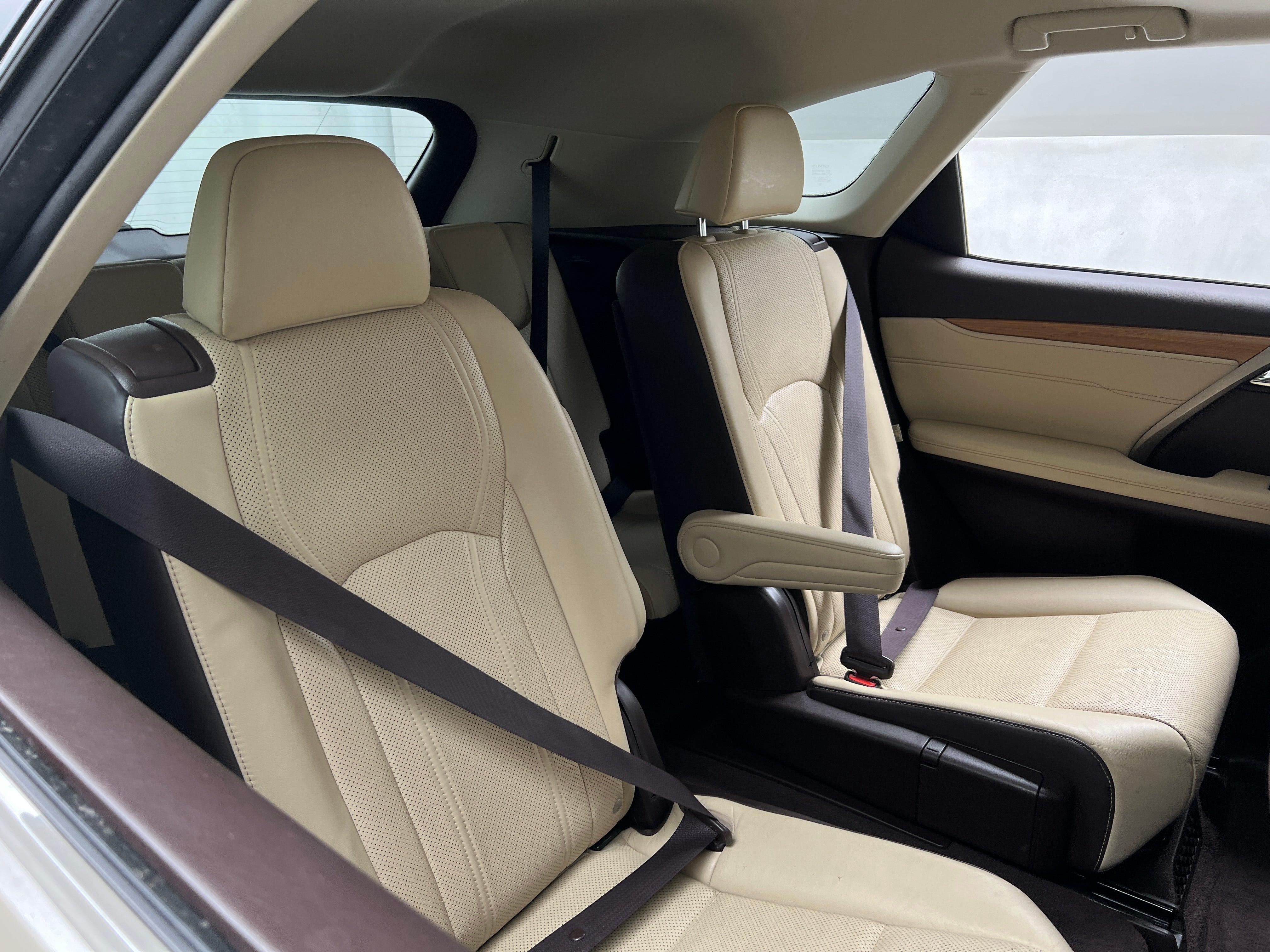 2019 Lexus RX Hybrid 450hL 5