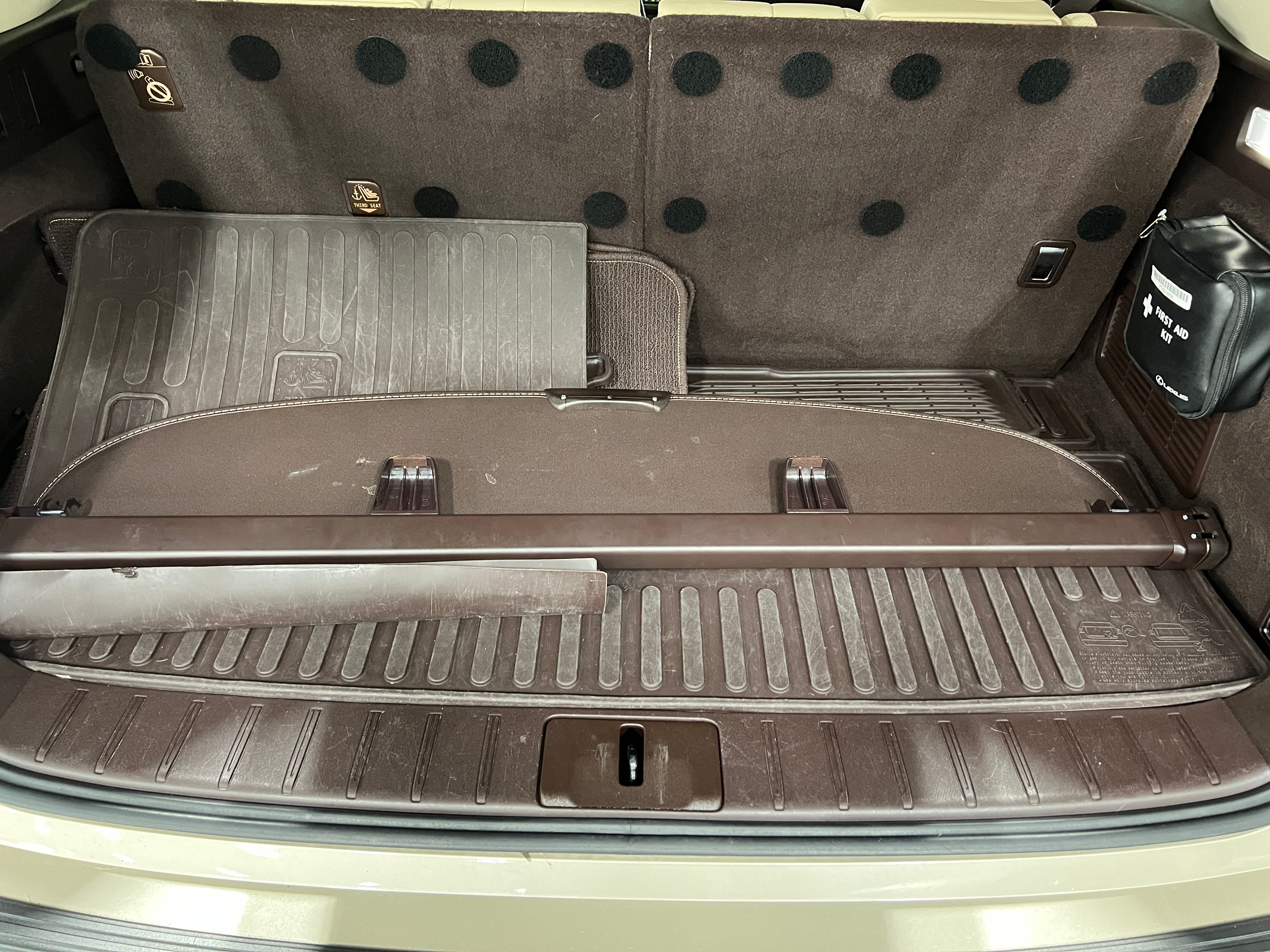 2019 Lexus RX Hybrid 450hL 6