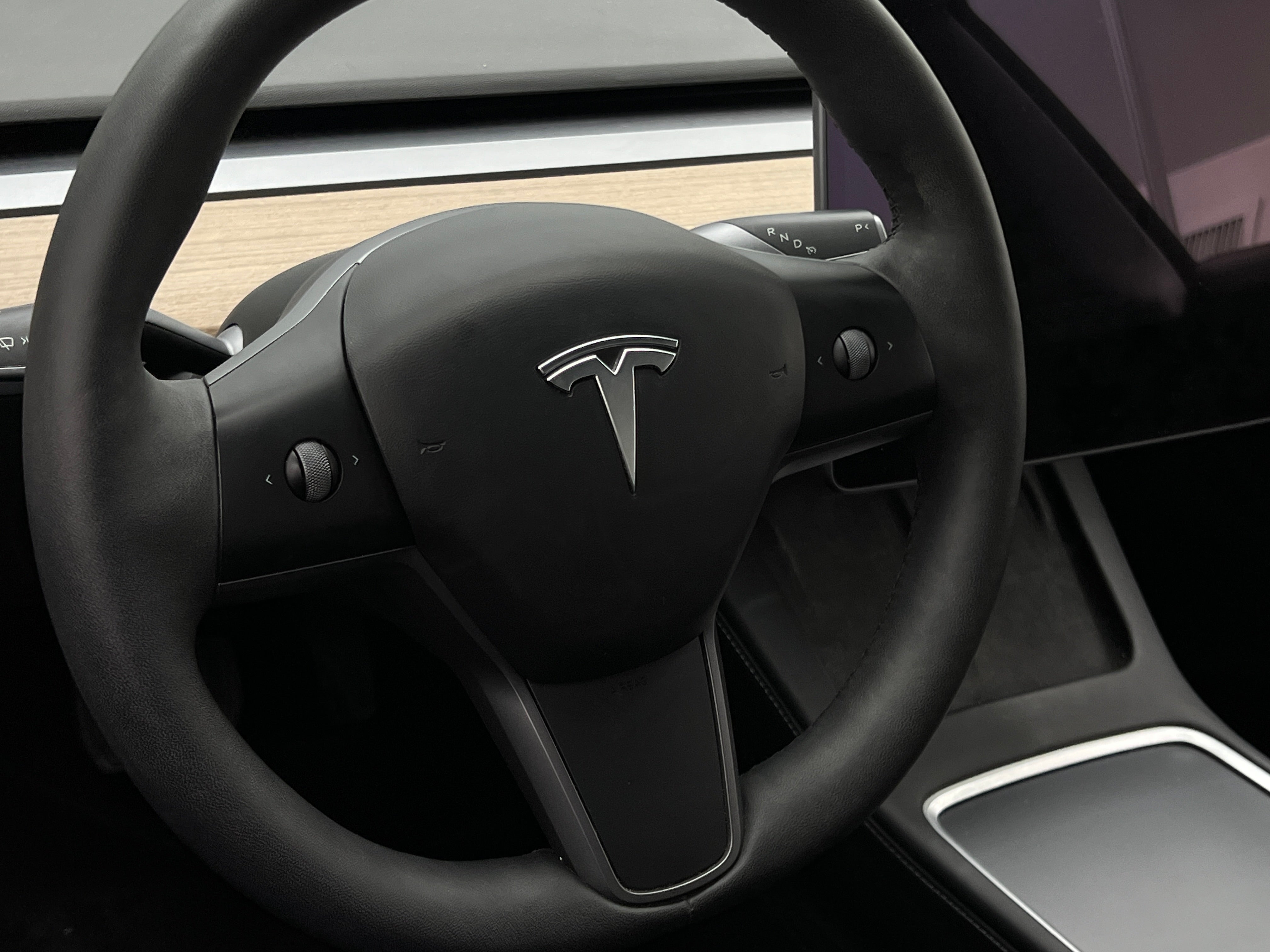 2021 Tesla Model 3 Standard Range 4