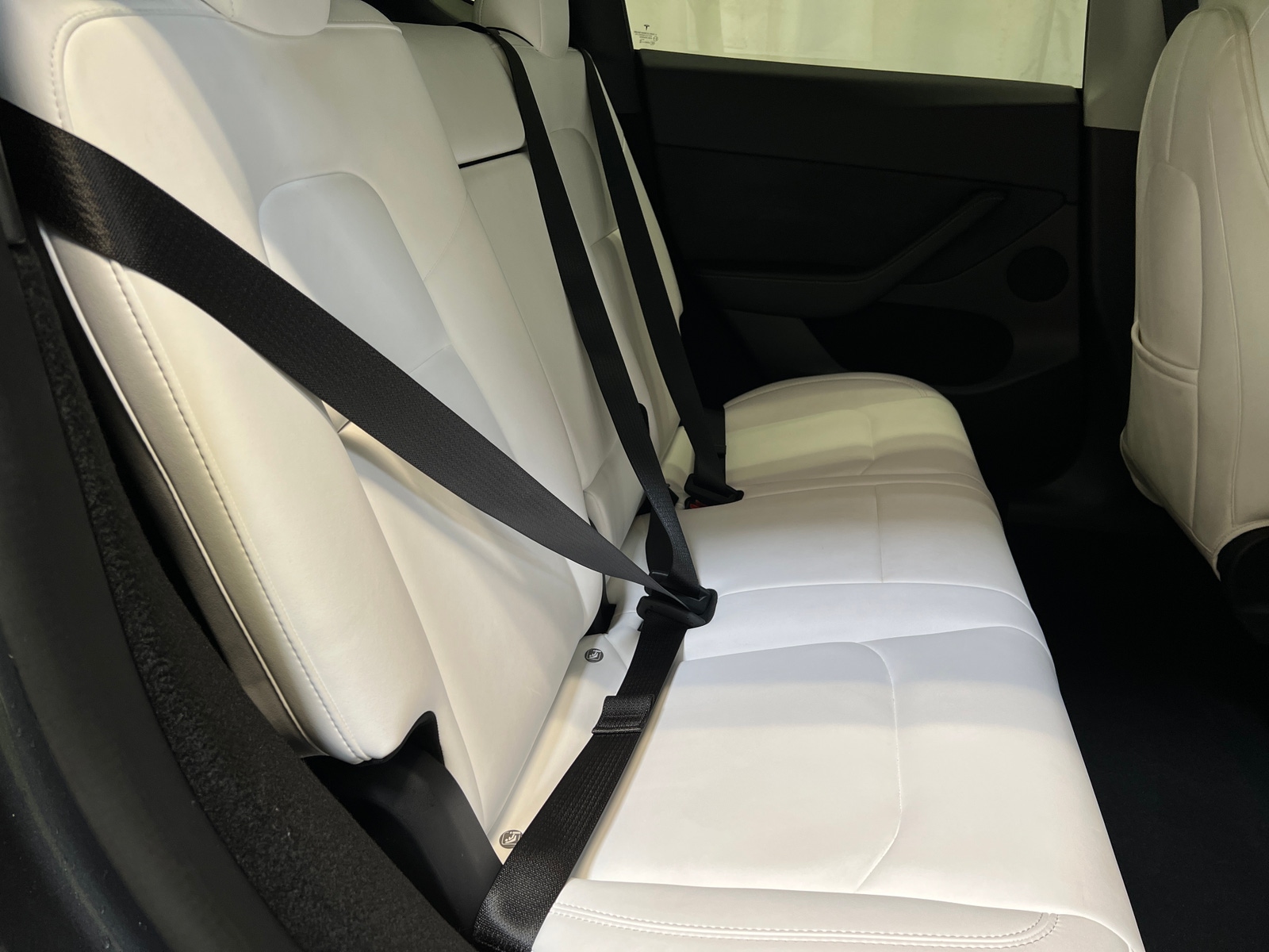 Thumbnail: 2023 Tesla Model Y - 4