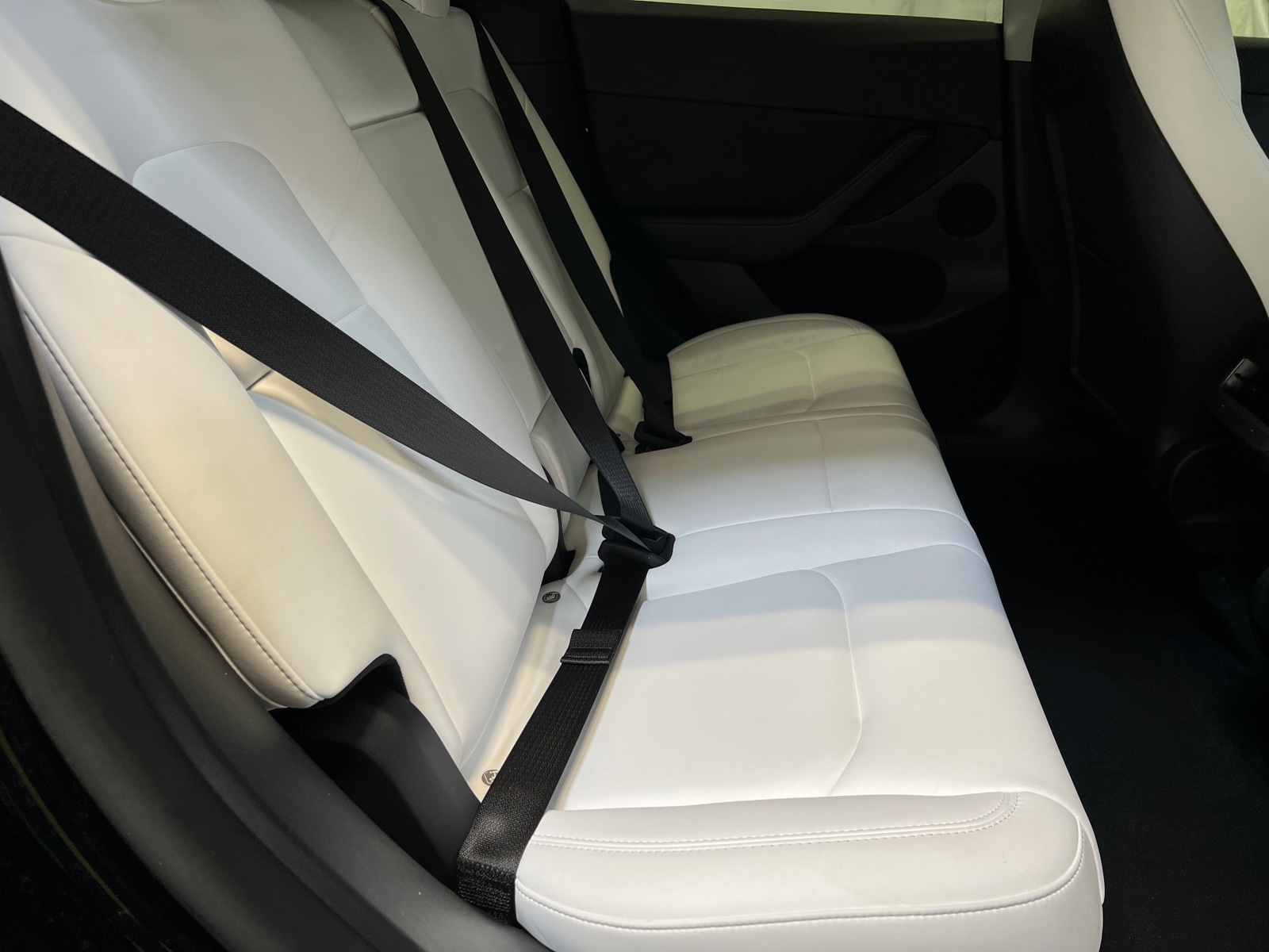 Thumbnail: 2023 Tesla Model Y - 4