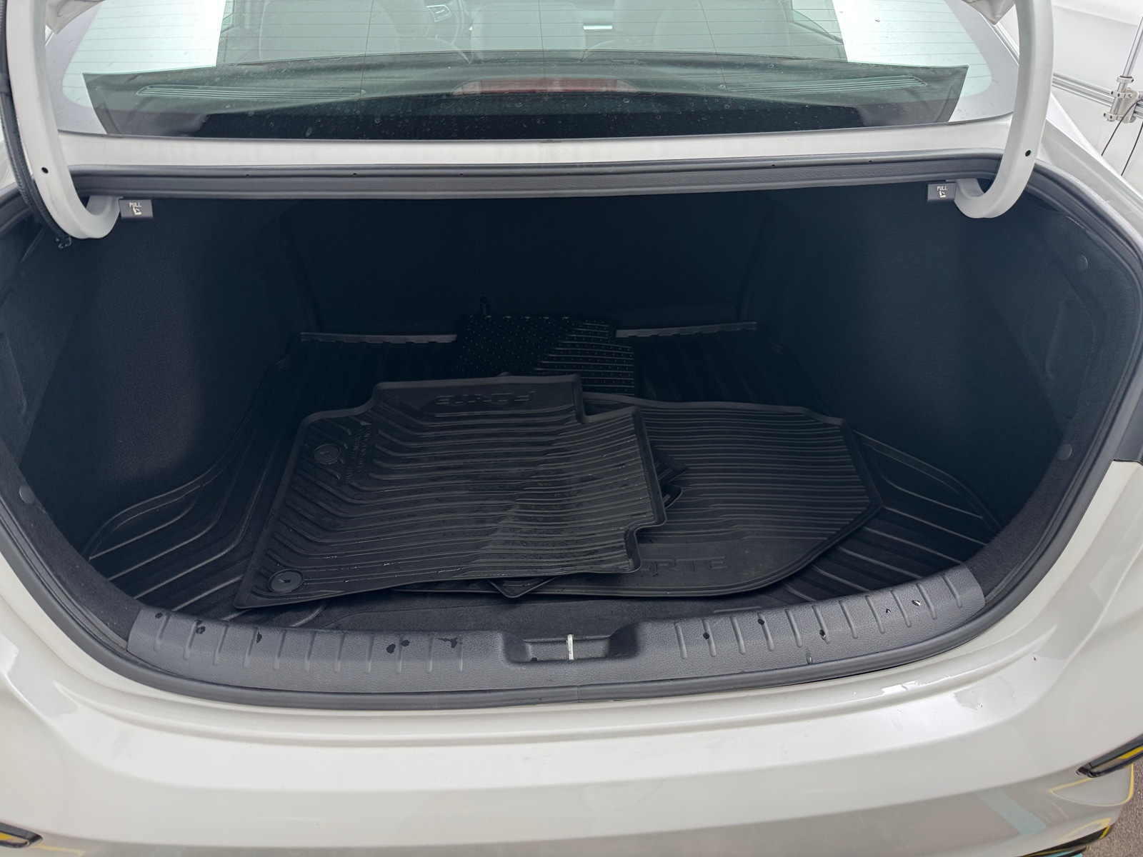 Thumbnail: 2019 Kia Forte - 7