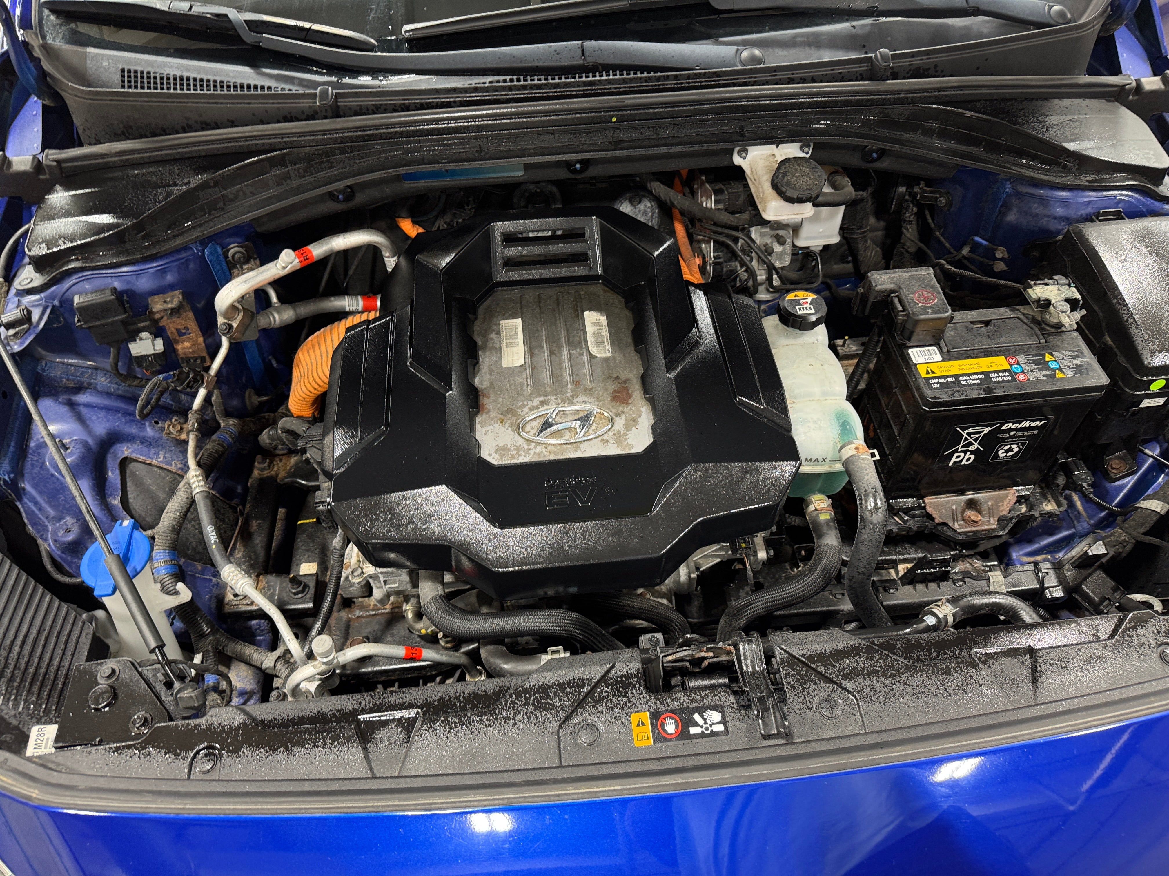 2019 Hyundai Ioniq