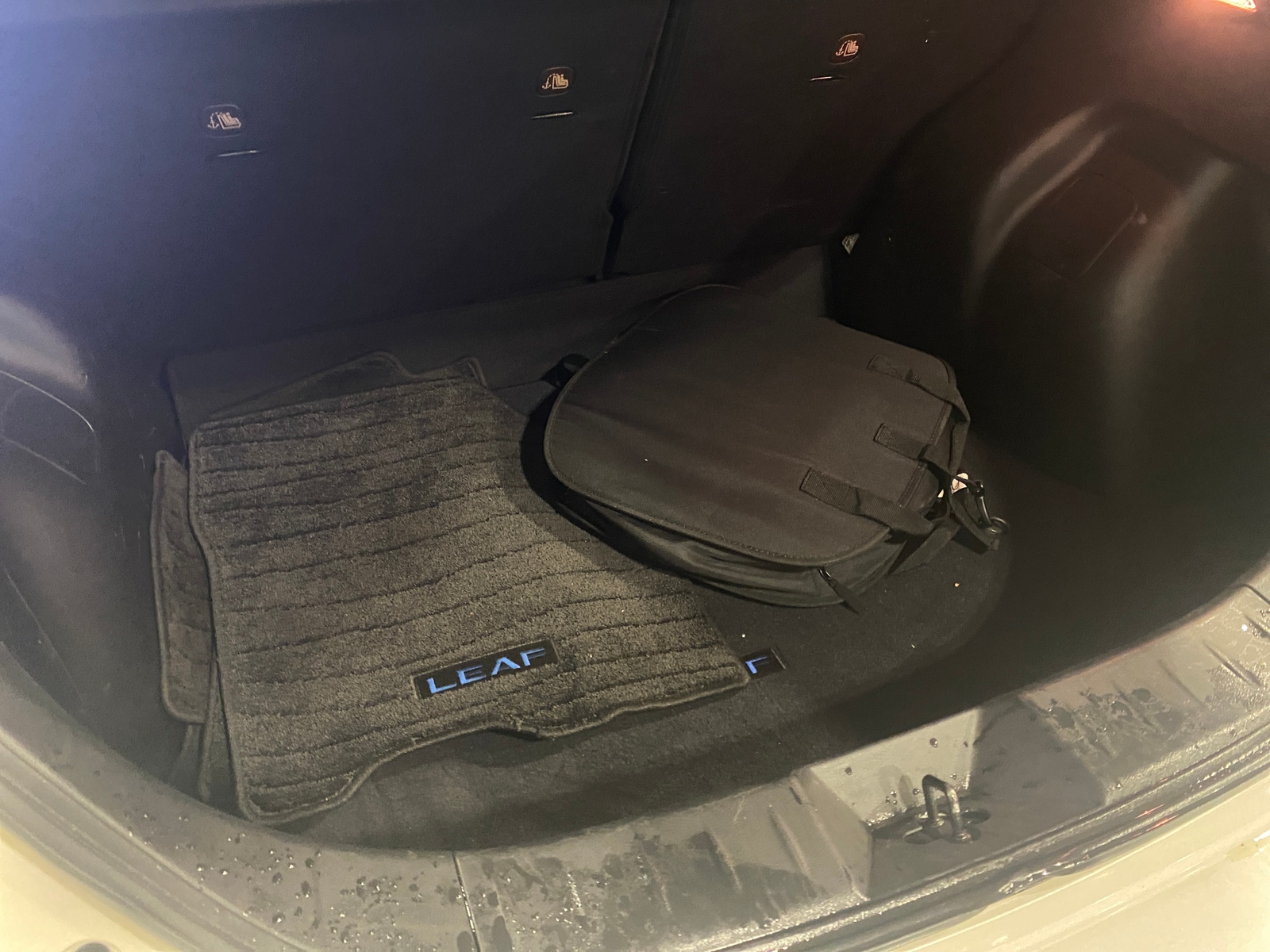 Thumbnail: 2019 Nissan Leaf - 7