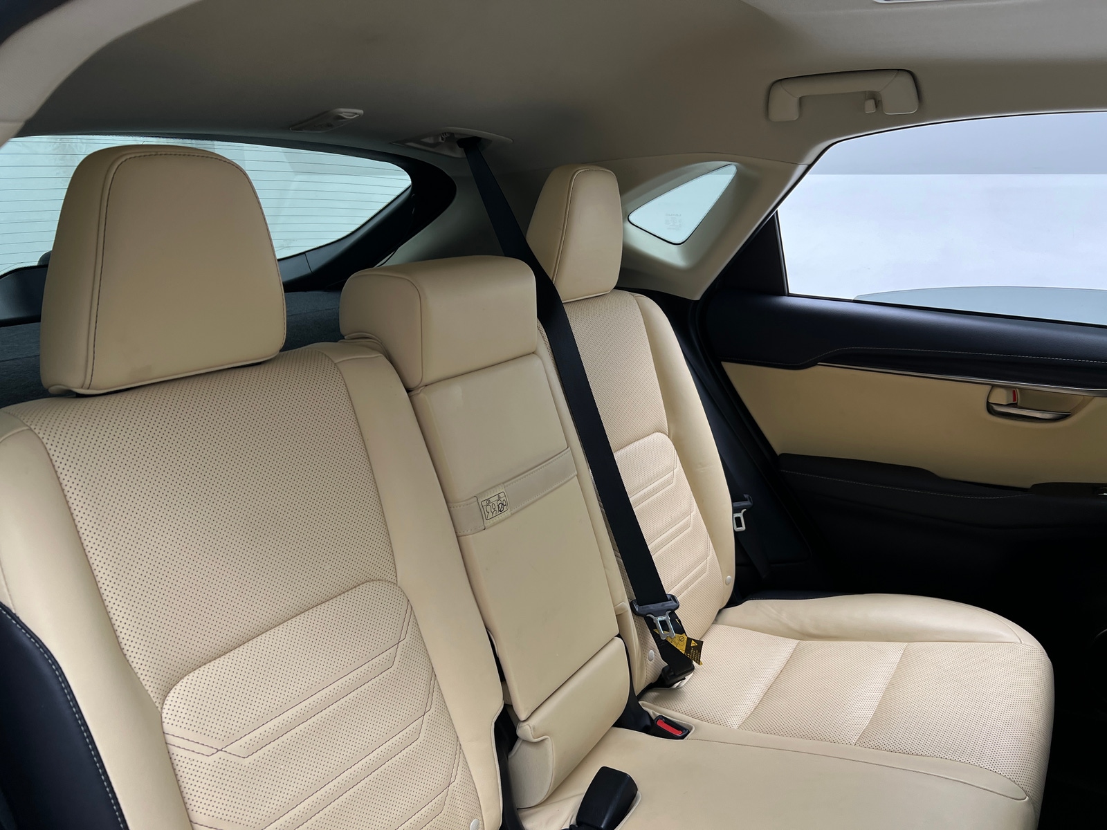 Thumbnail: 2019 Lexus NX - 5