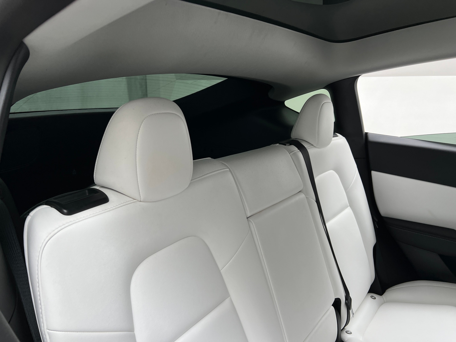 Thumbnail: 2022 Tesla Model Y - 5