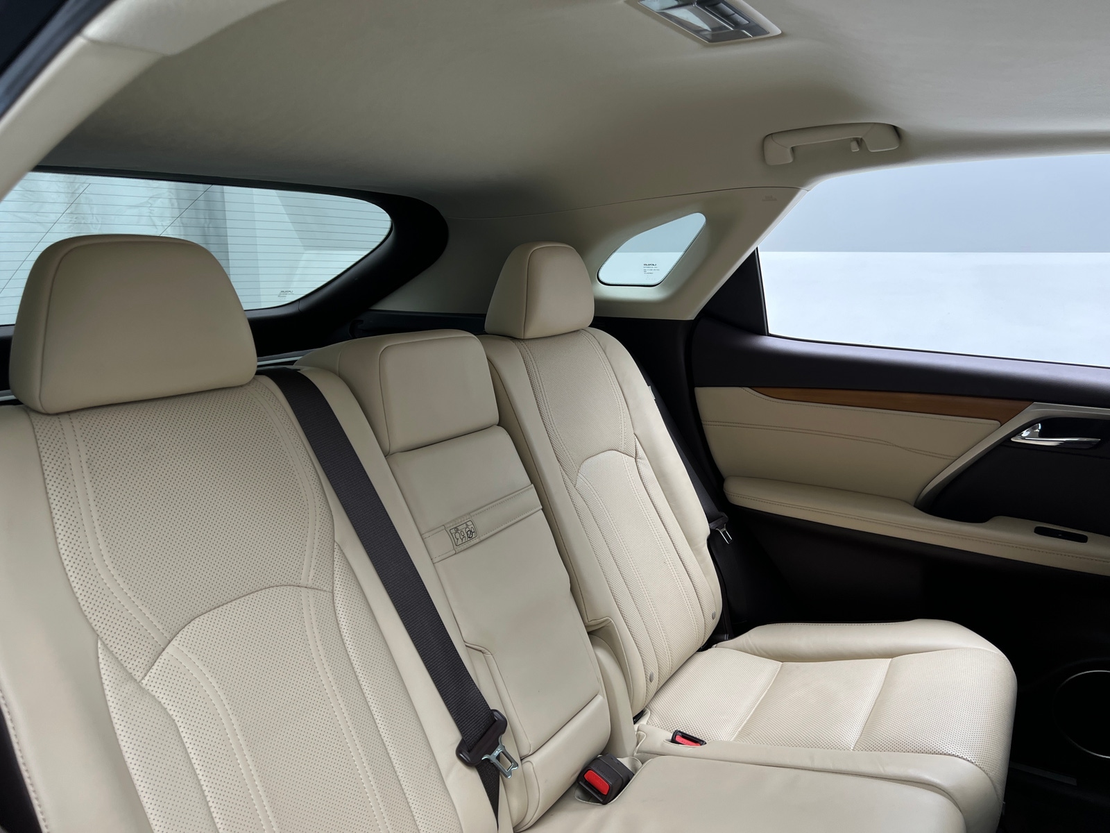 Thumbnail: 2019 Lexus RX - 5