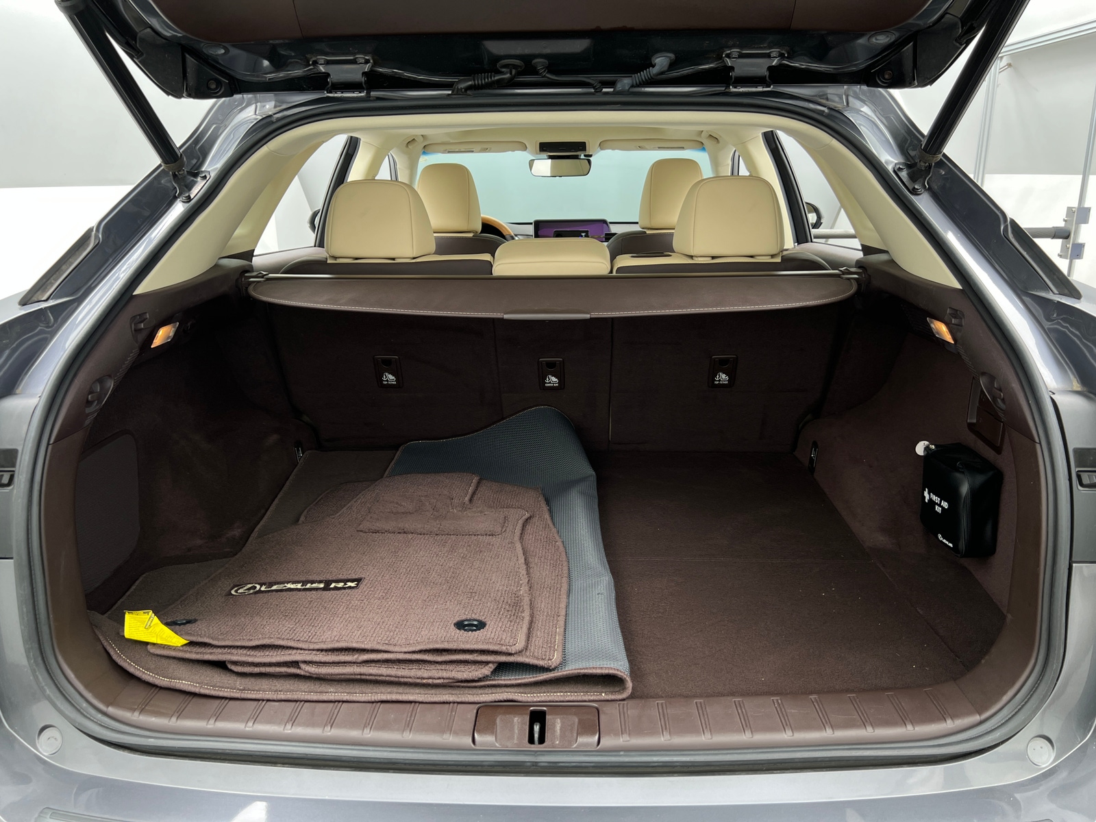 Thumbnail: 2019 Lexus RX - 6