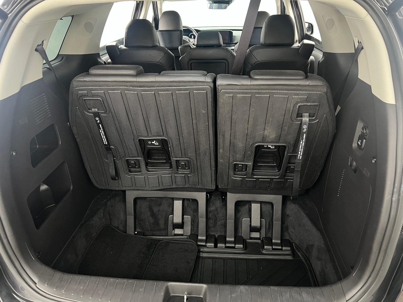 Thumbnail: 2024 Kia Carnival - 6