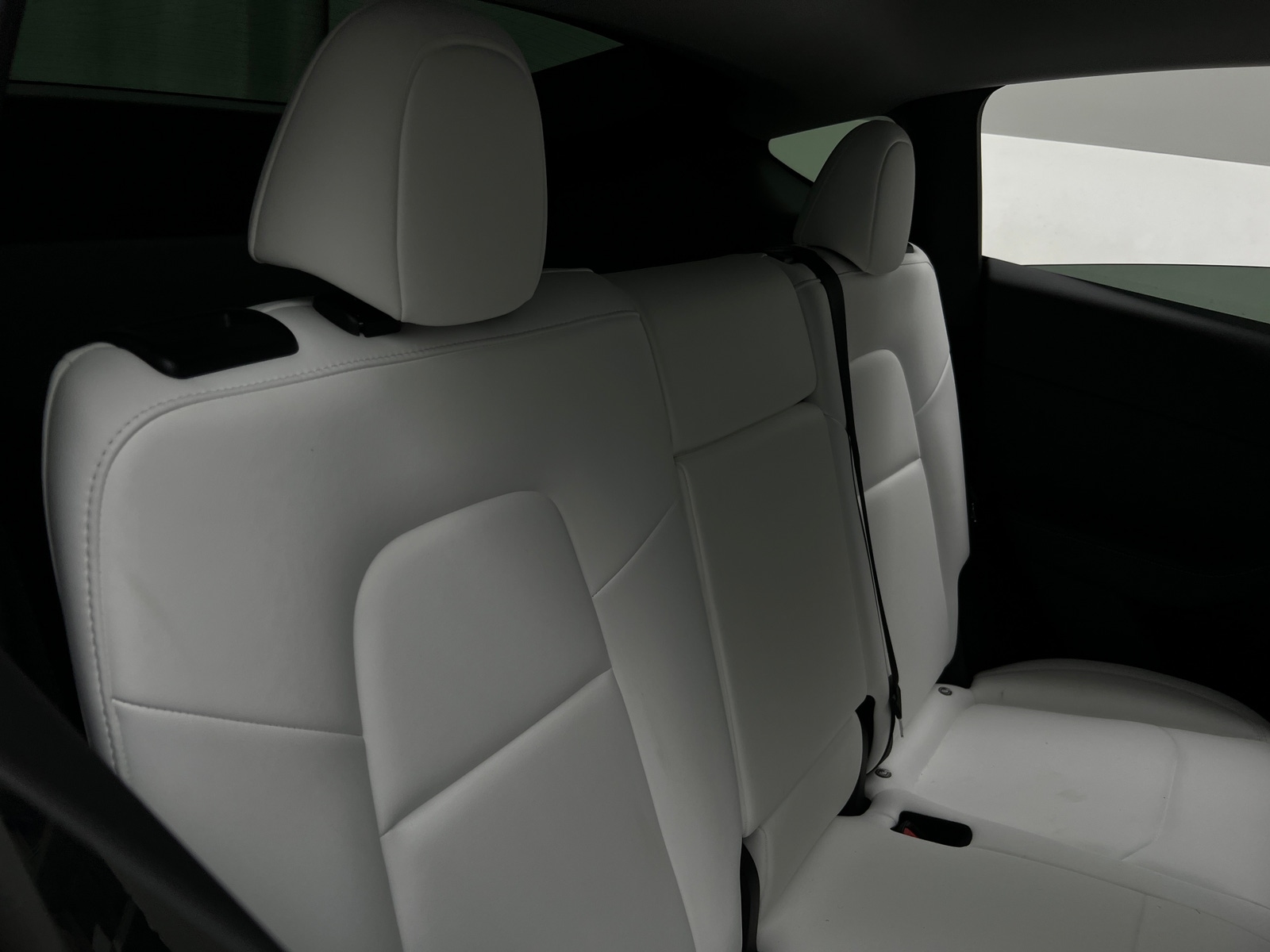 Thumbnail: 2023 Tesla Model Y - 5