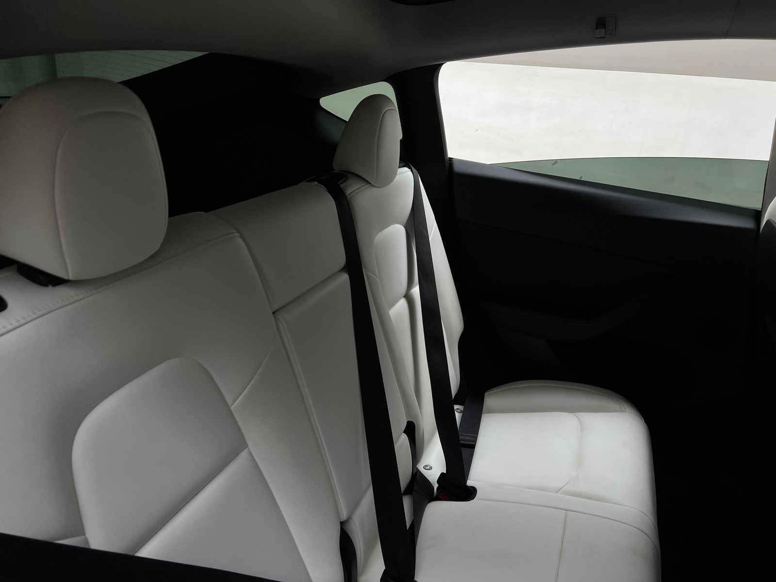 Thumbnail: 2022 Tesla Model Y - 5