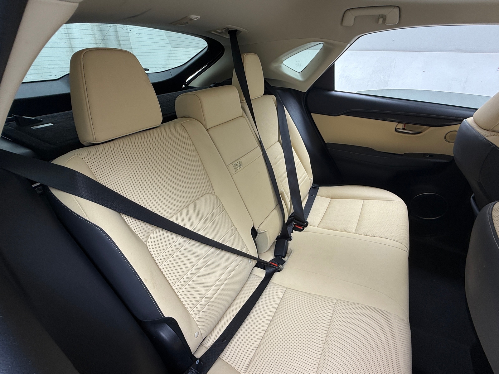 Thumbnail: 2019 Lexus NX - 5