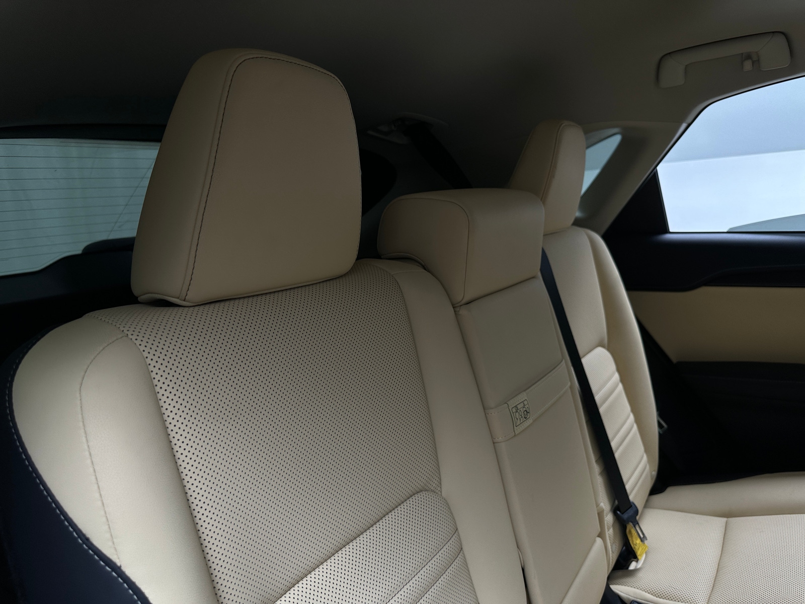 Thumbnail: 2019 Lexus NX - 5