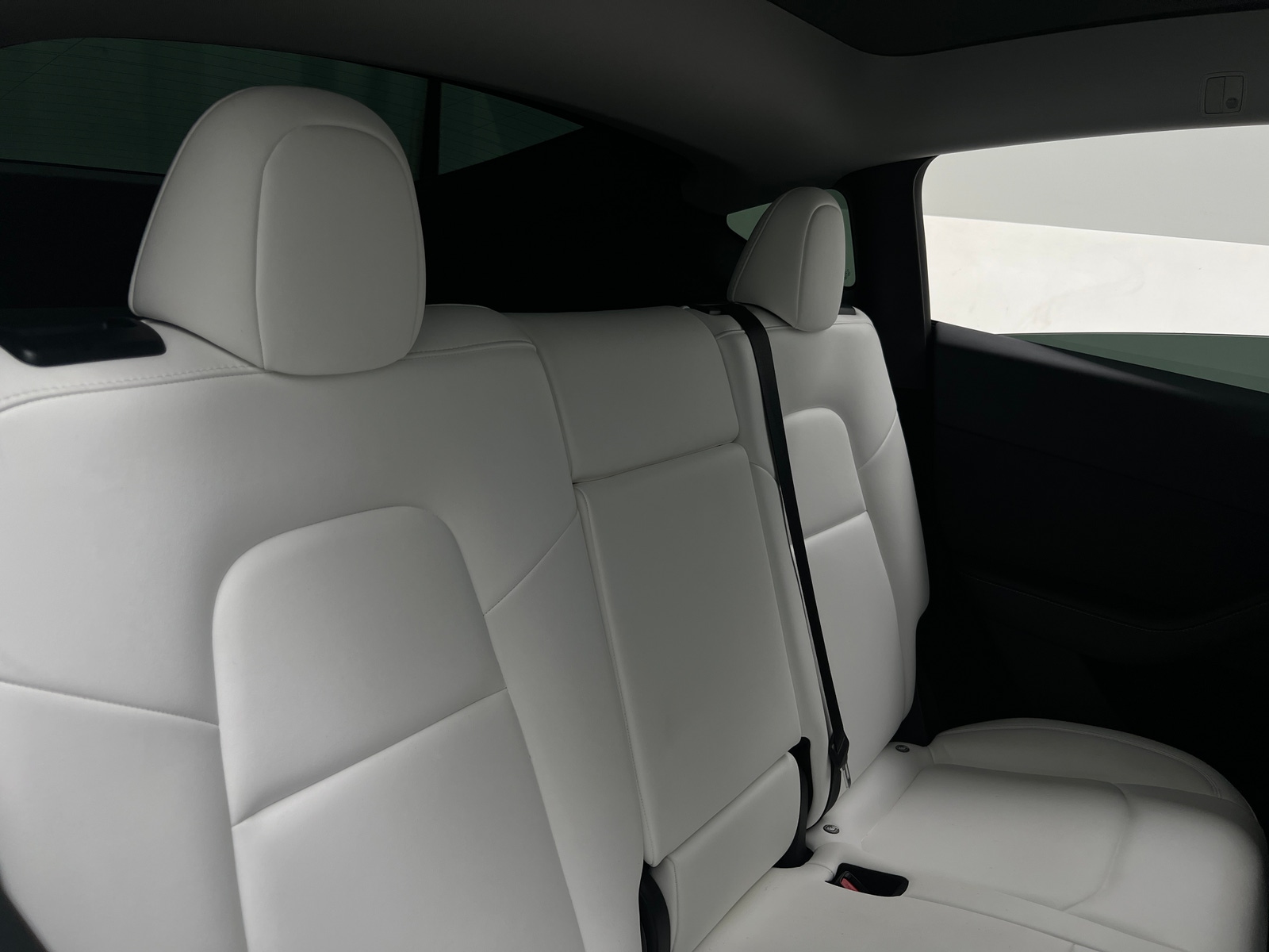 Thumbnail: 2023 Tesla Model Y - 5