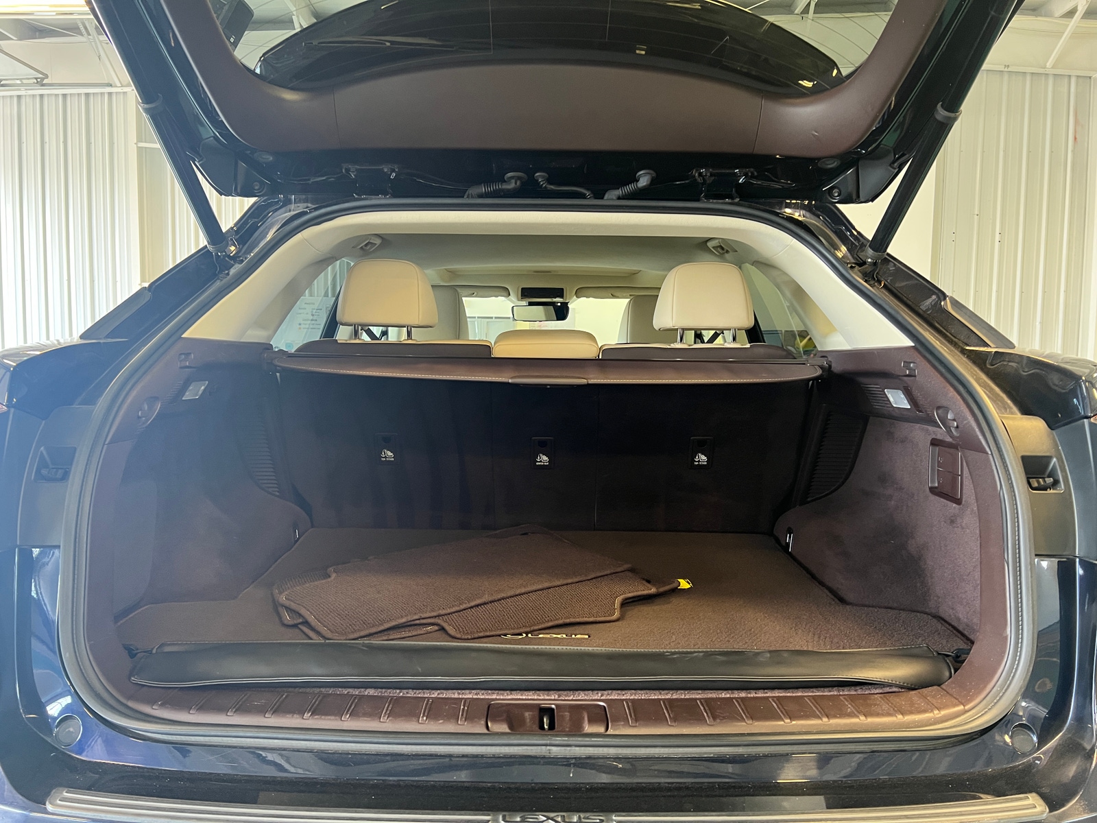Thumbnail: 2019 Lexus RX - 6