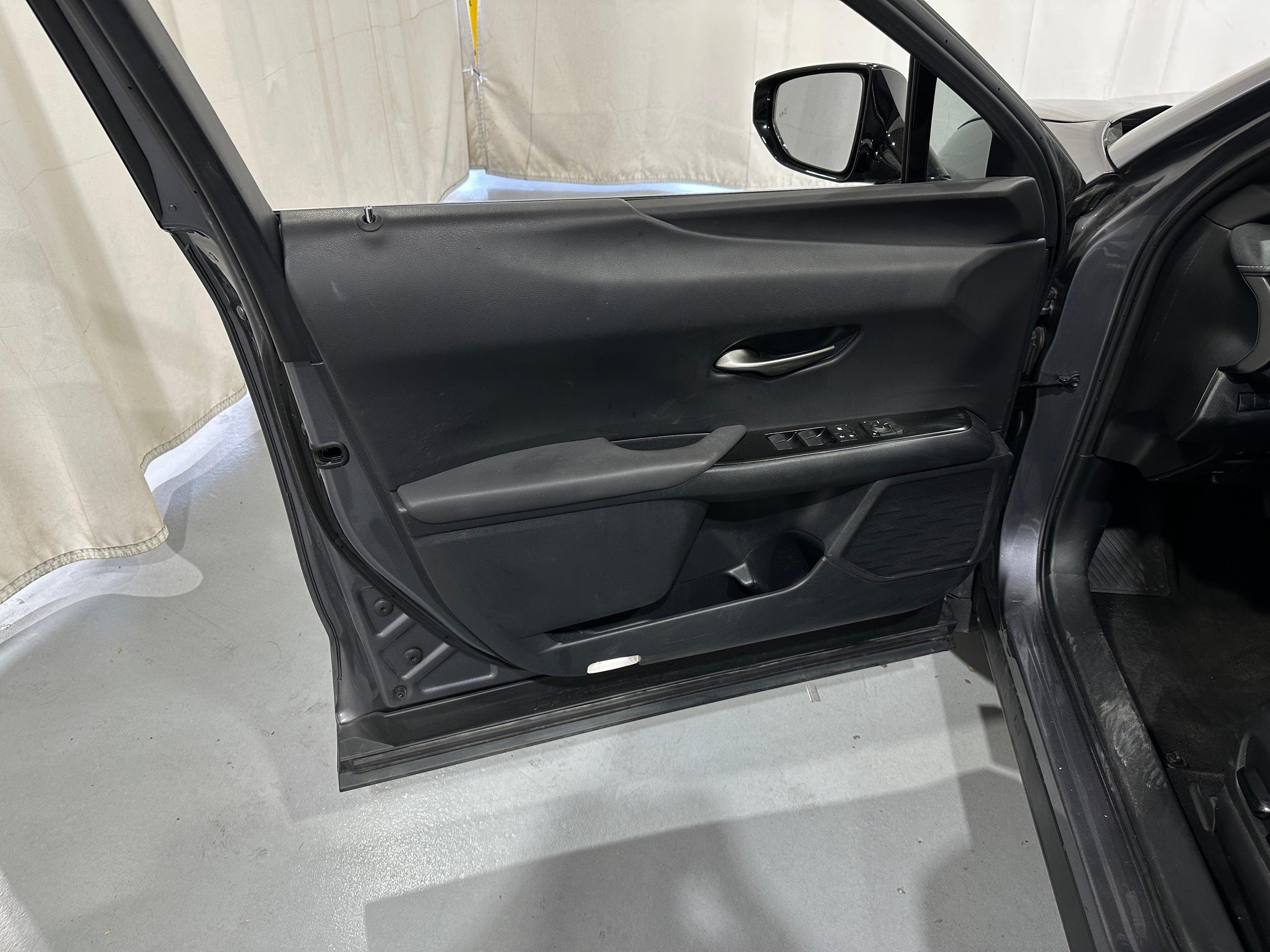 2019 Lexus UX Hybrid