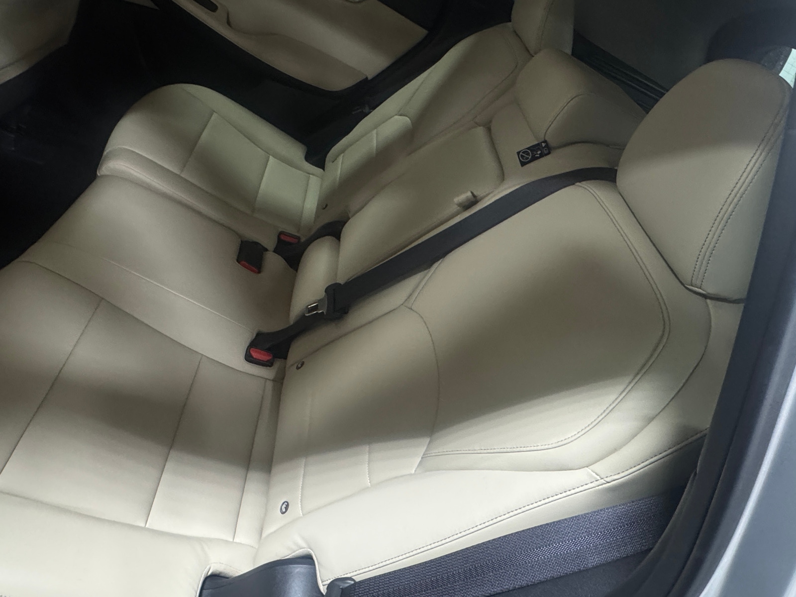 Thumbnail: 2019 INFINITI QX50 - 5