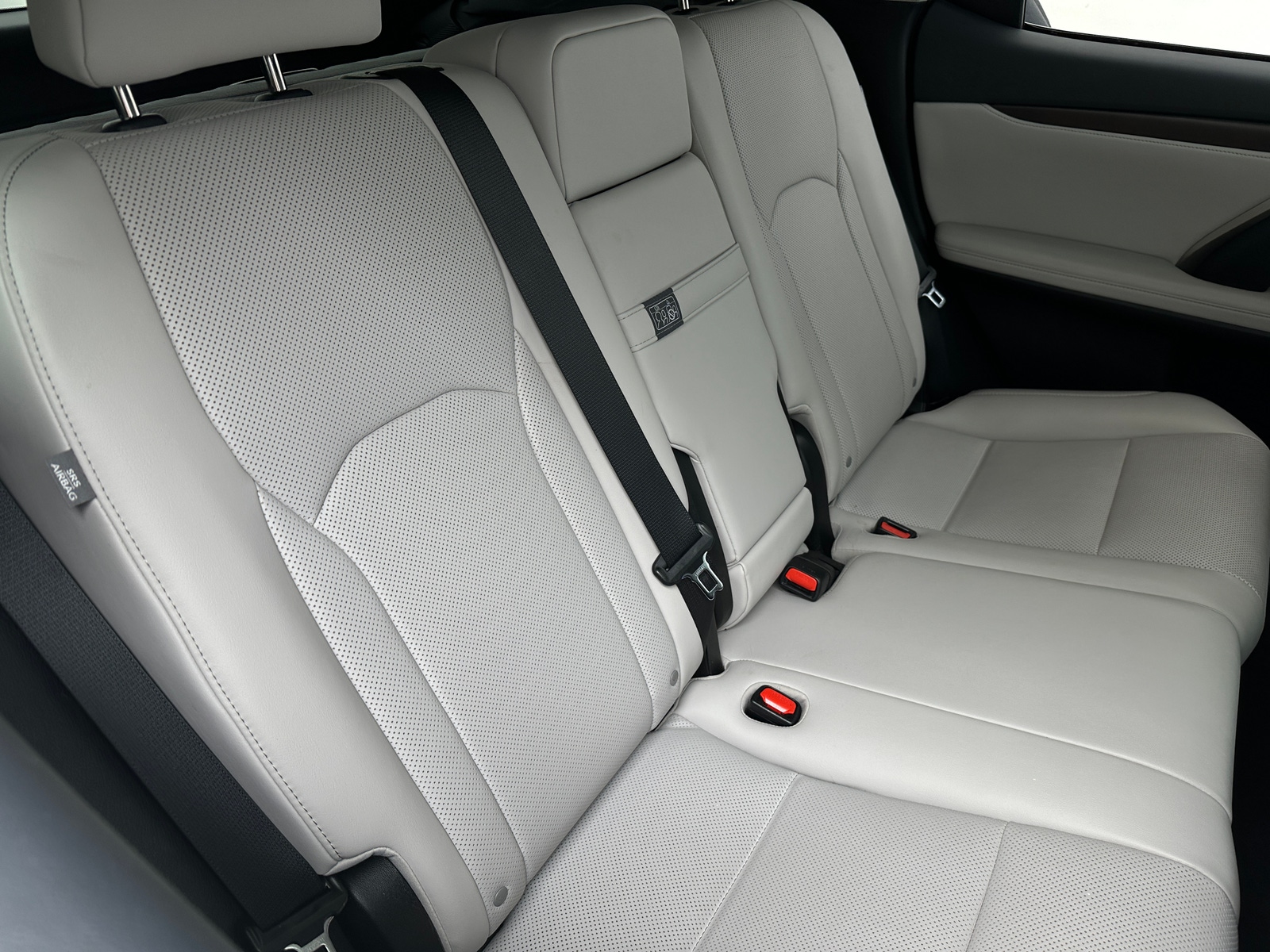 Thumbnail: 2022 Lexus RX - 5