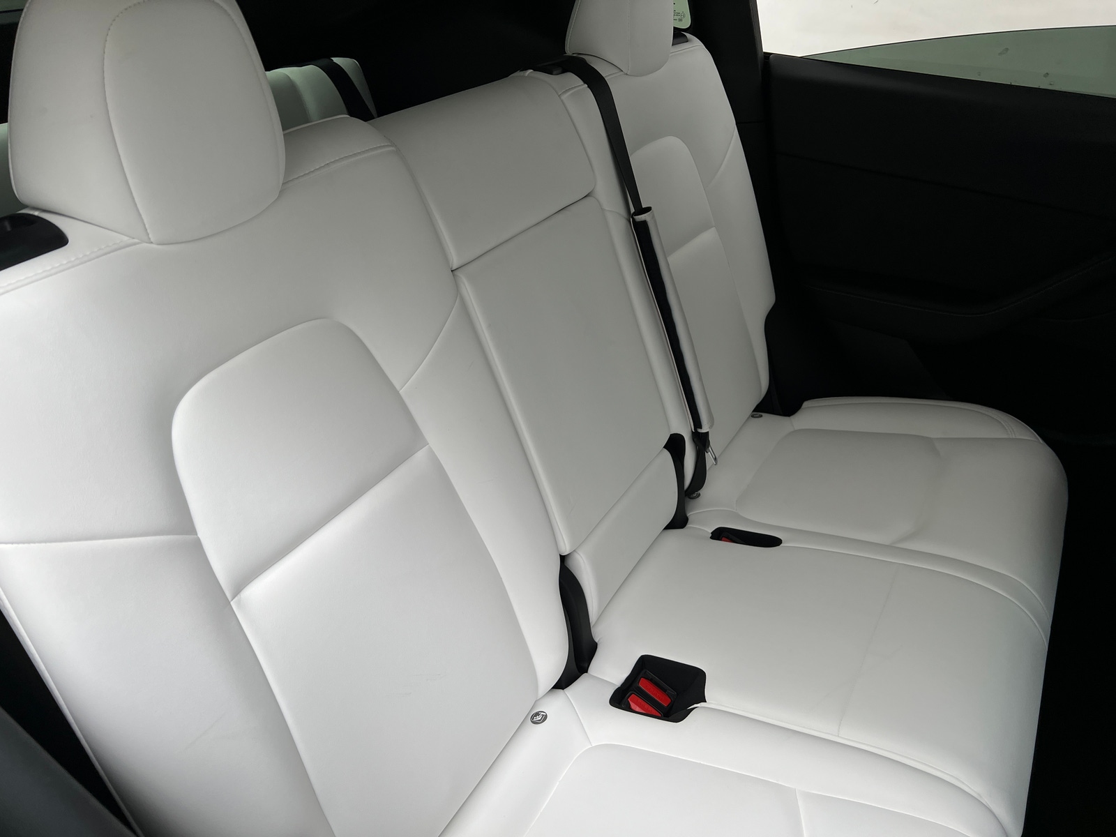 Thumbnail: 2023 Tesla Model Y - 5