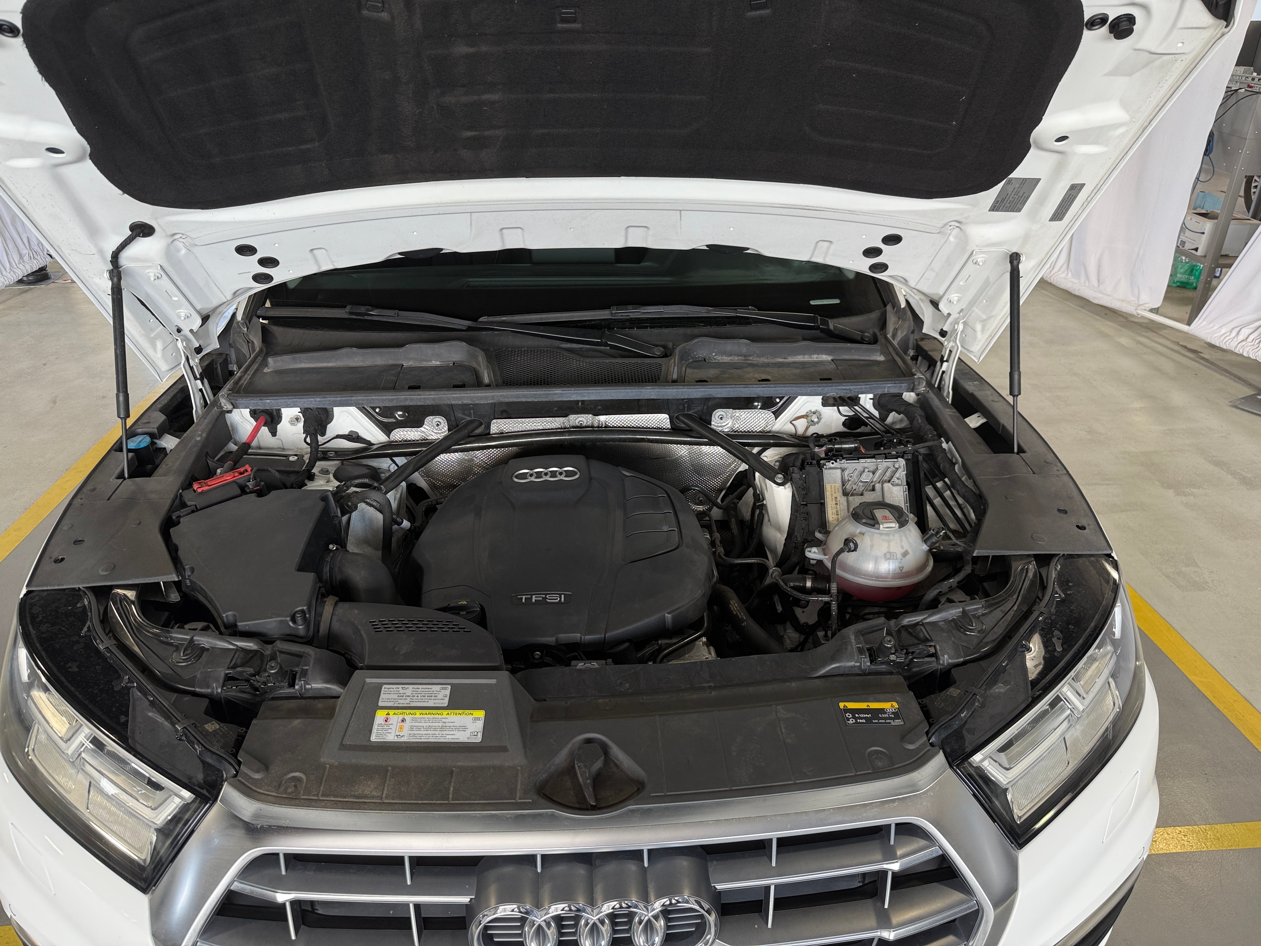 2019 Audi Q5