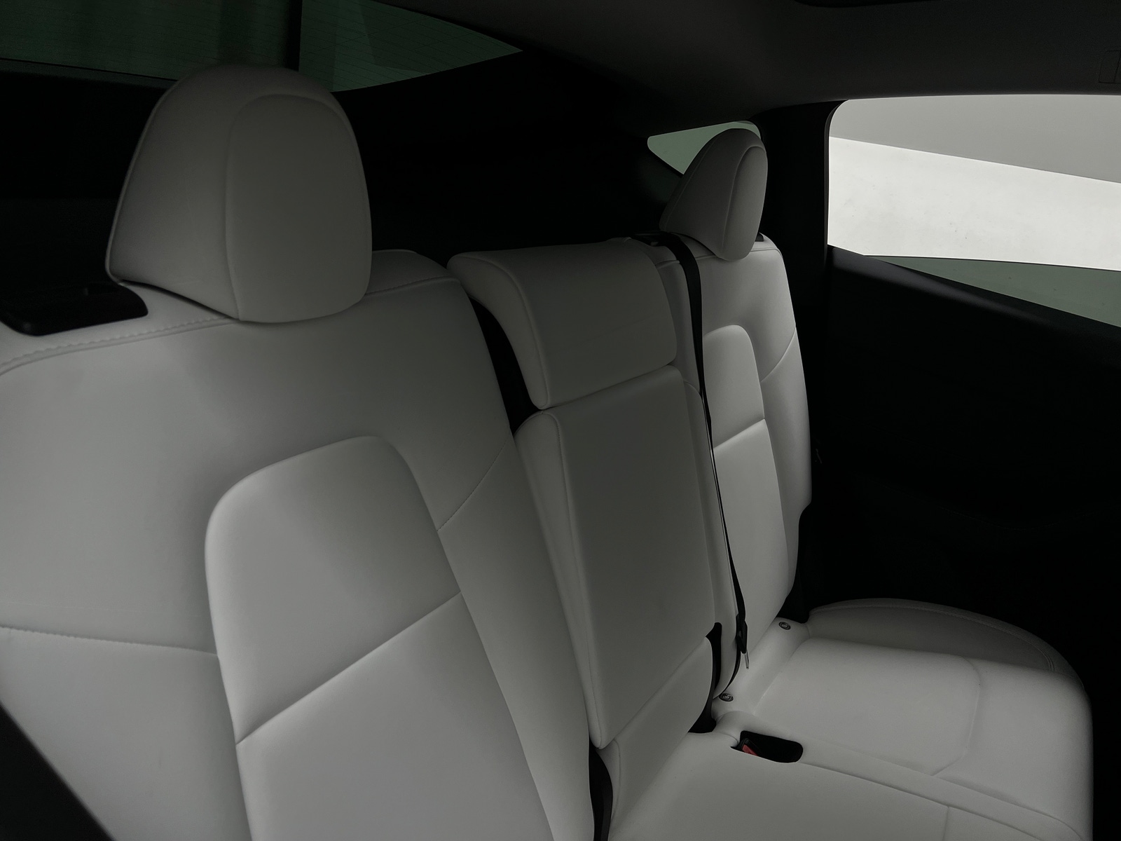 Thumbnail: 2023 Tesla Model Y - 5
