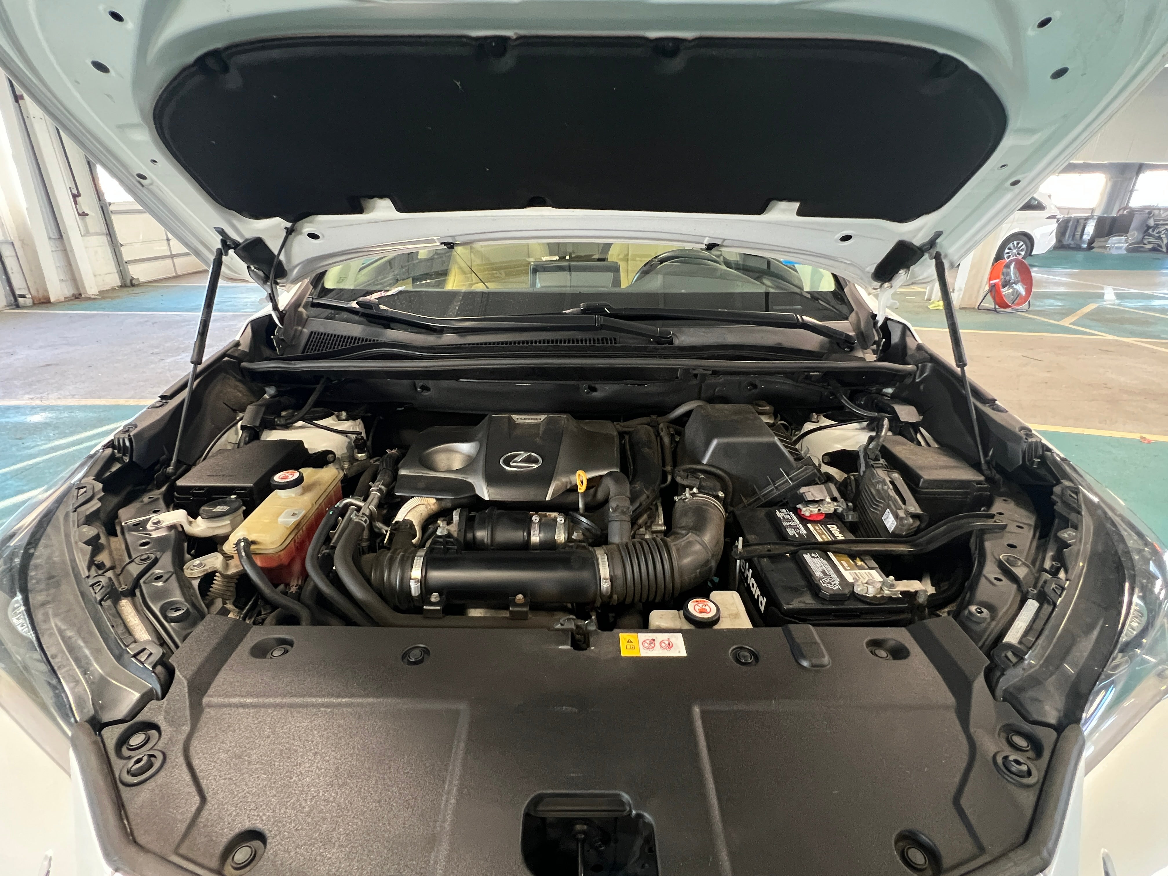 2019 Lexus NX