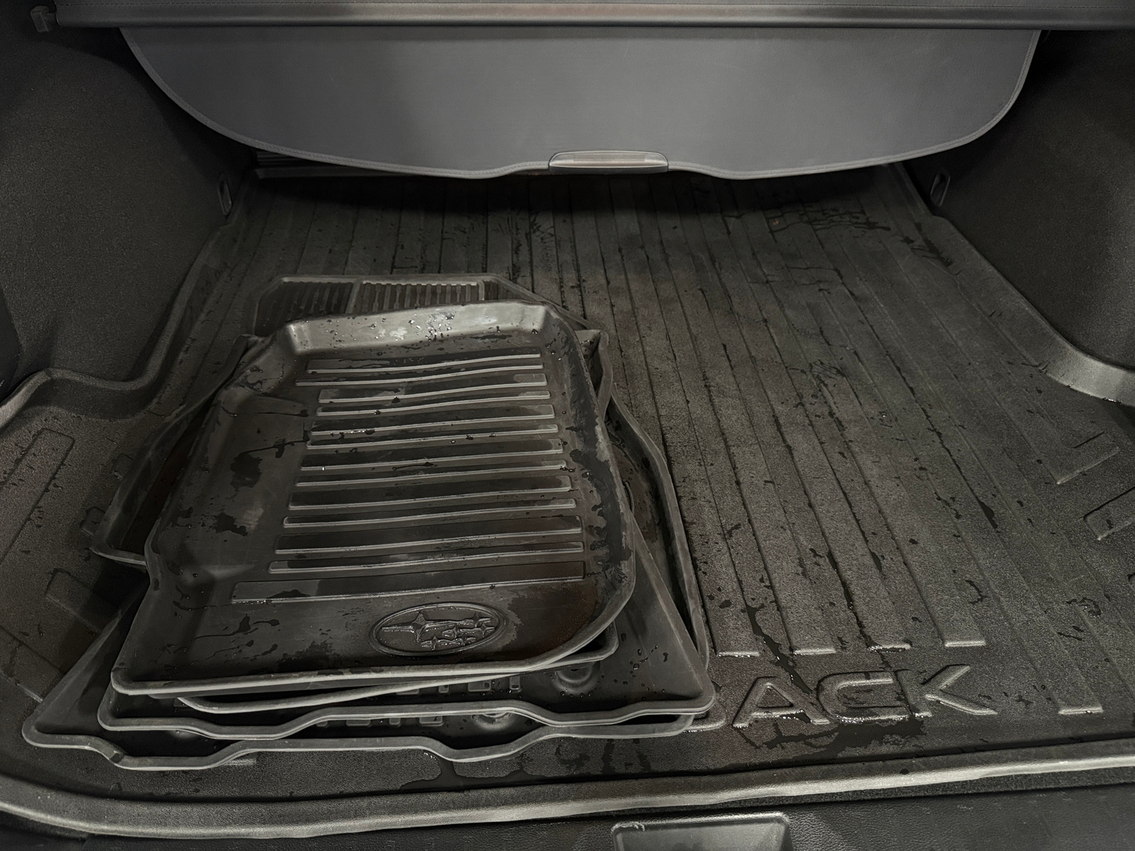 Thumbnail: 2019 Subaru Outback - 6