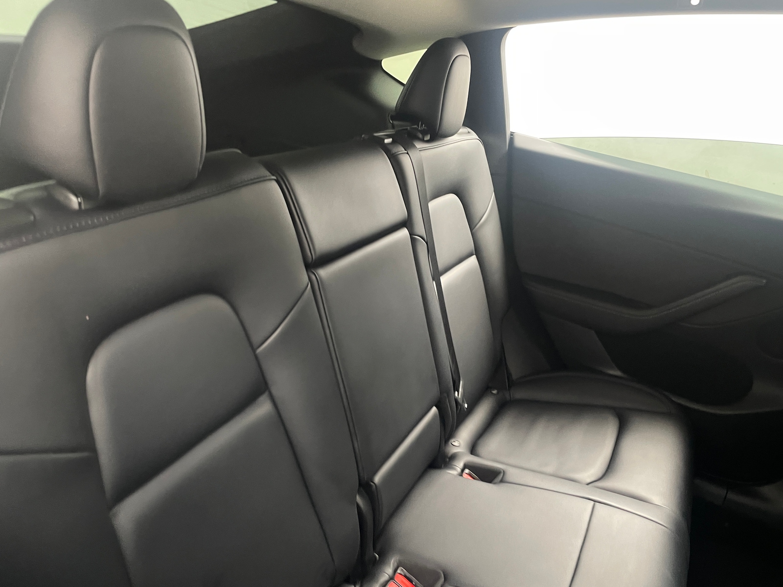 Thumbnail: 2022 Tesla Model Y - 4