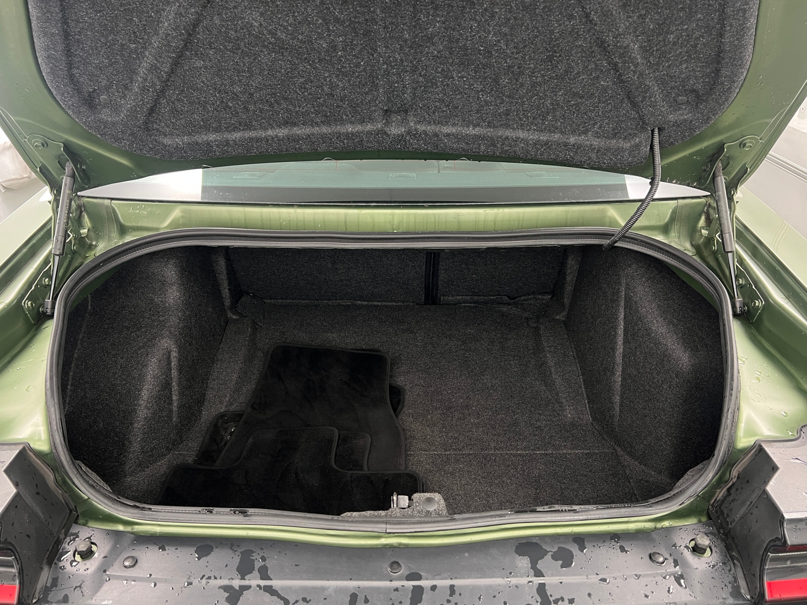 Thumbnail: 2019 Dodge Challenger - 5